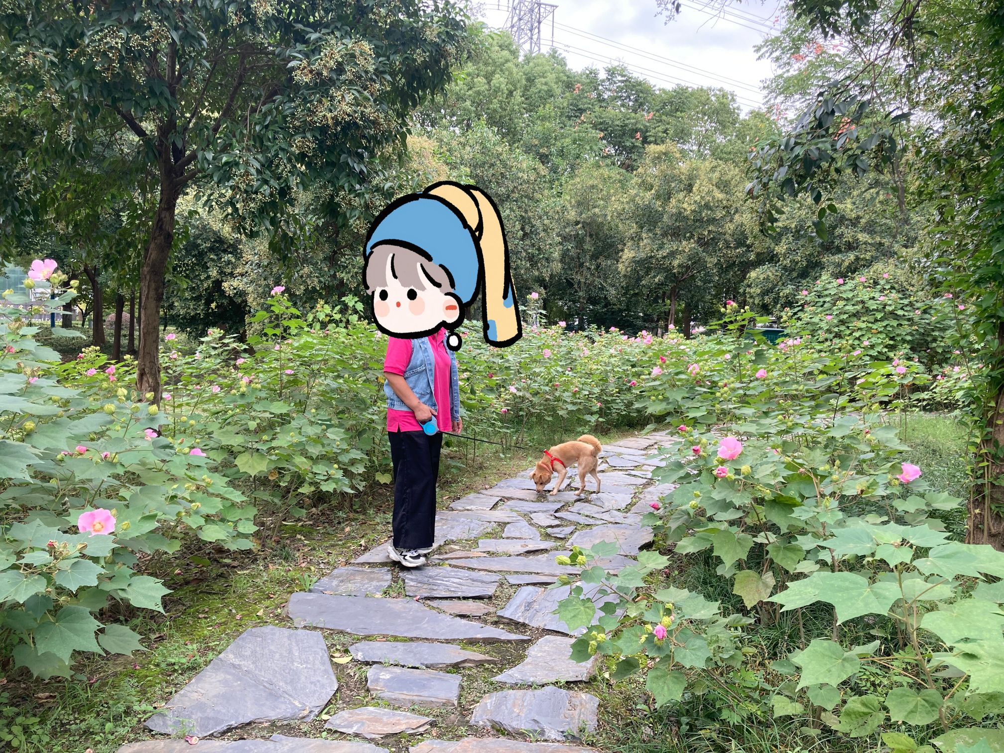 光伏产业公园