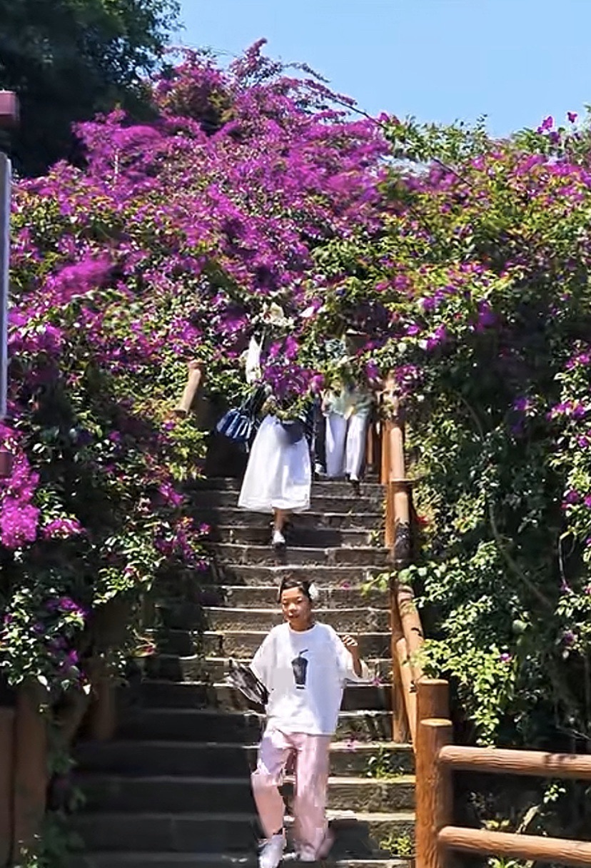 五彩荷园旅行图片