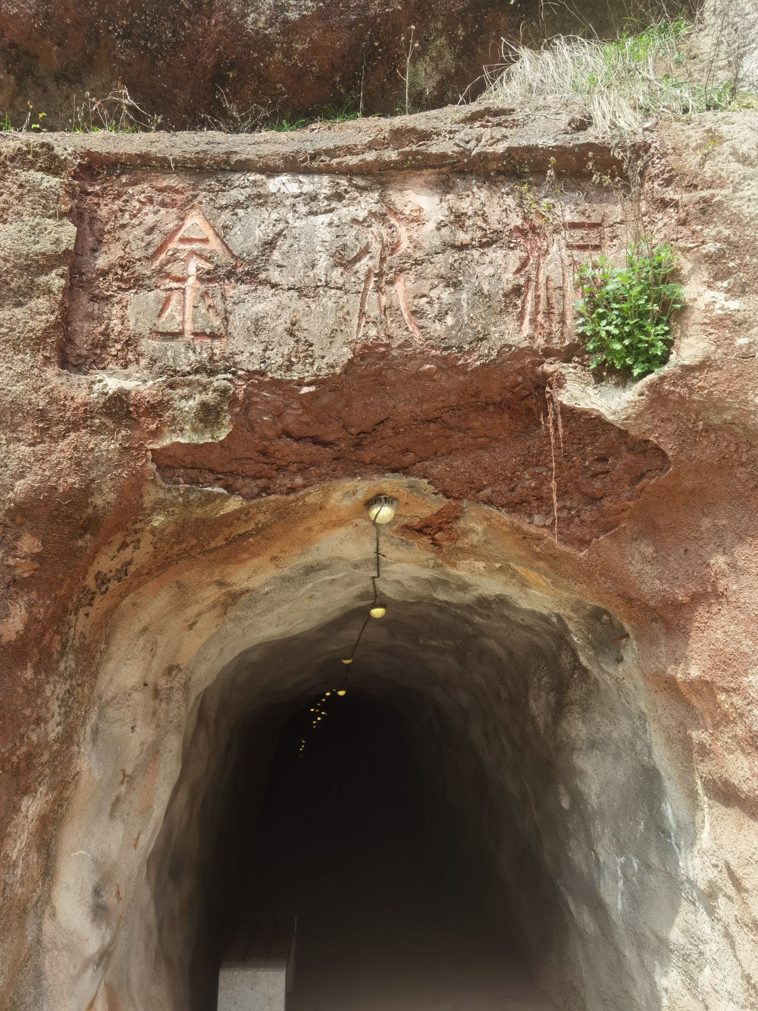 马口生态公园