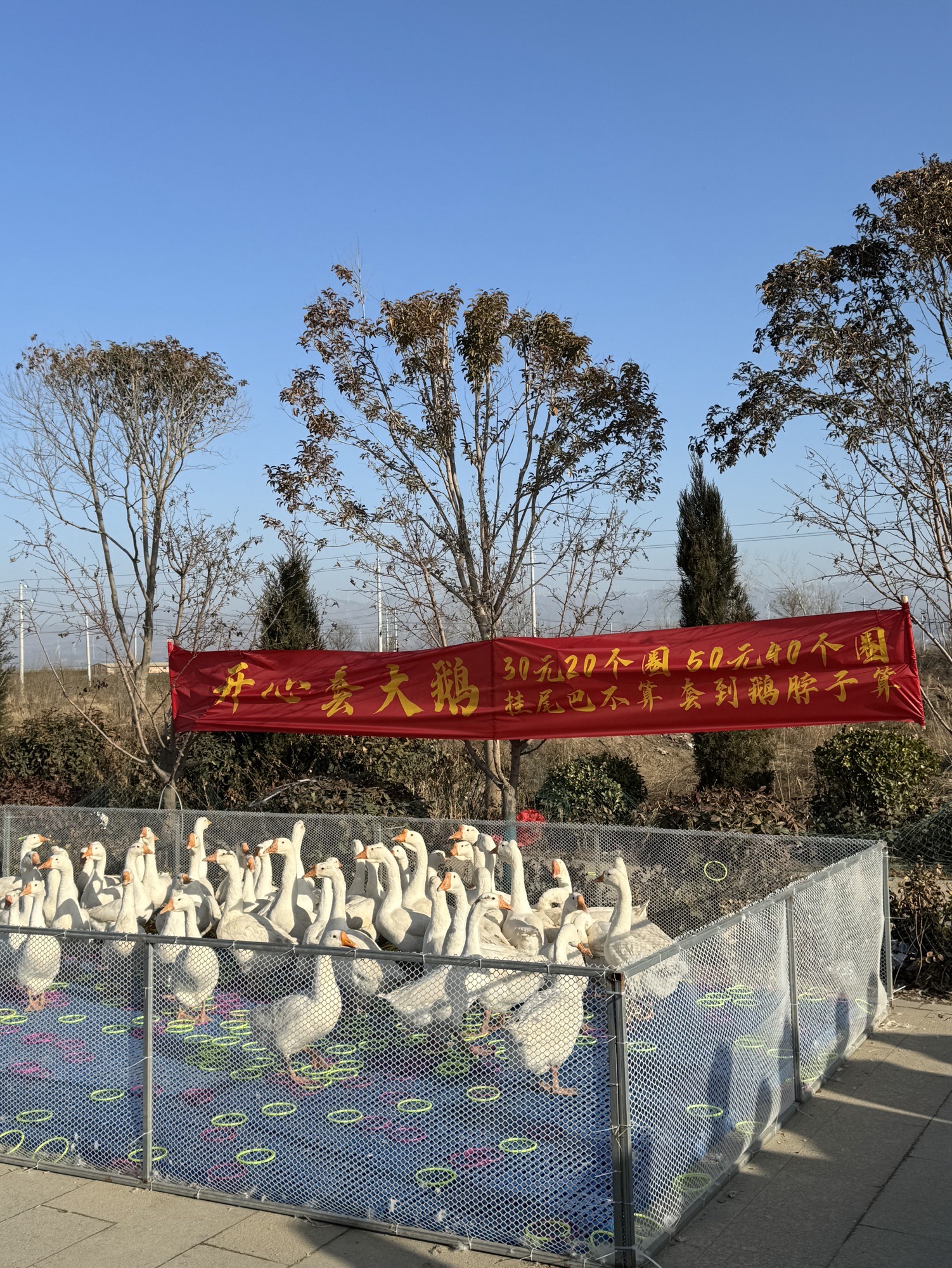 禹王城遗址旅行图片