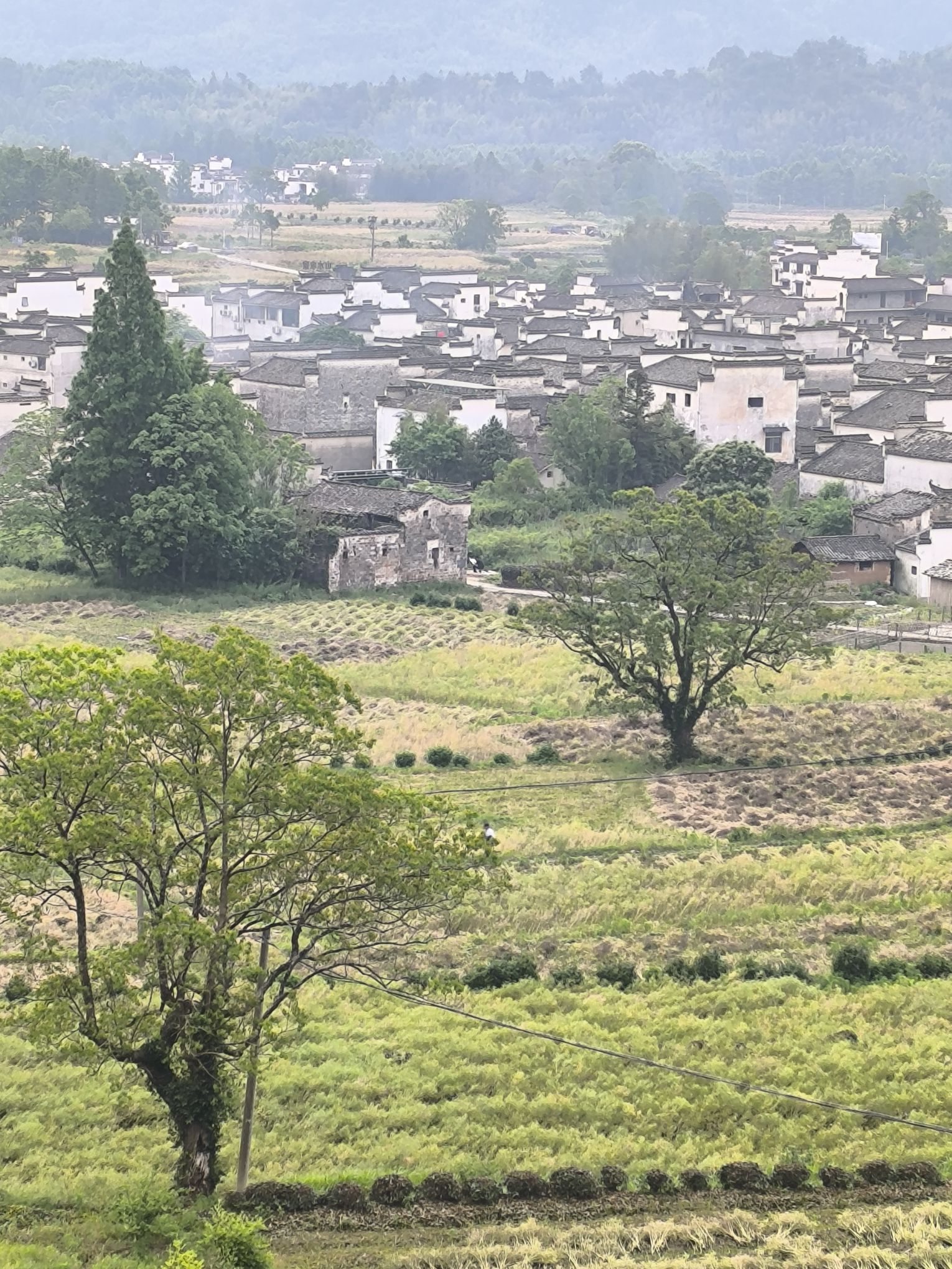 卢村观景平台