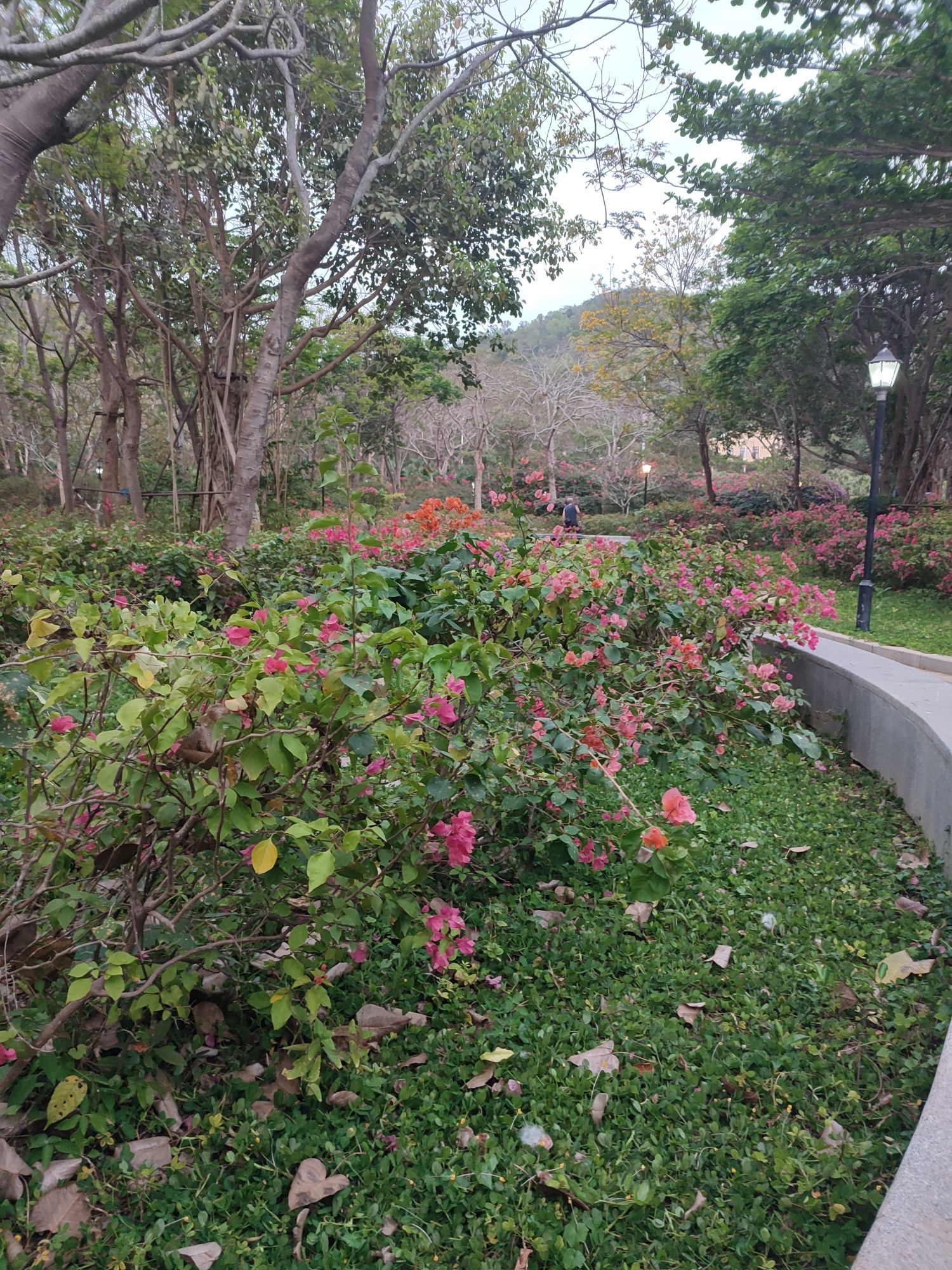 名花公园