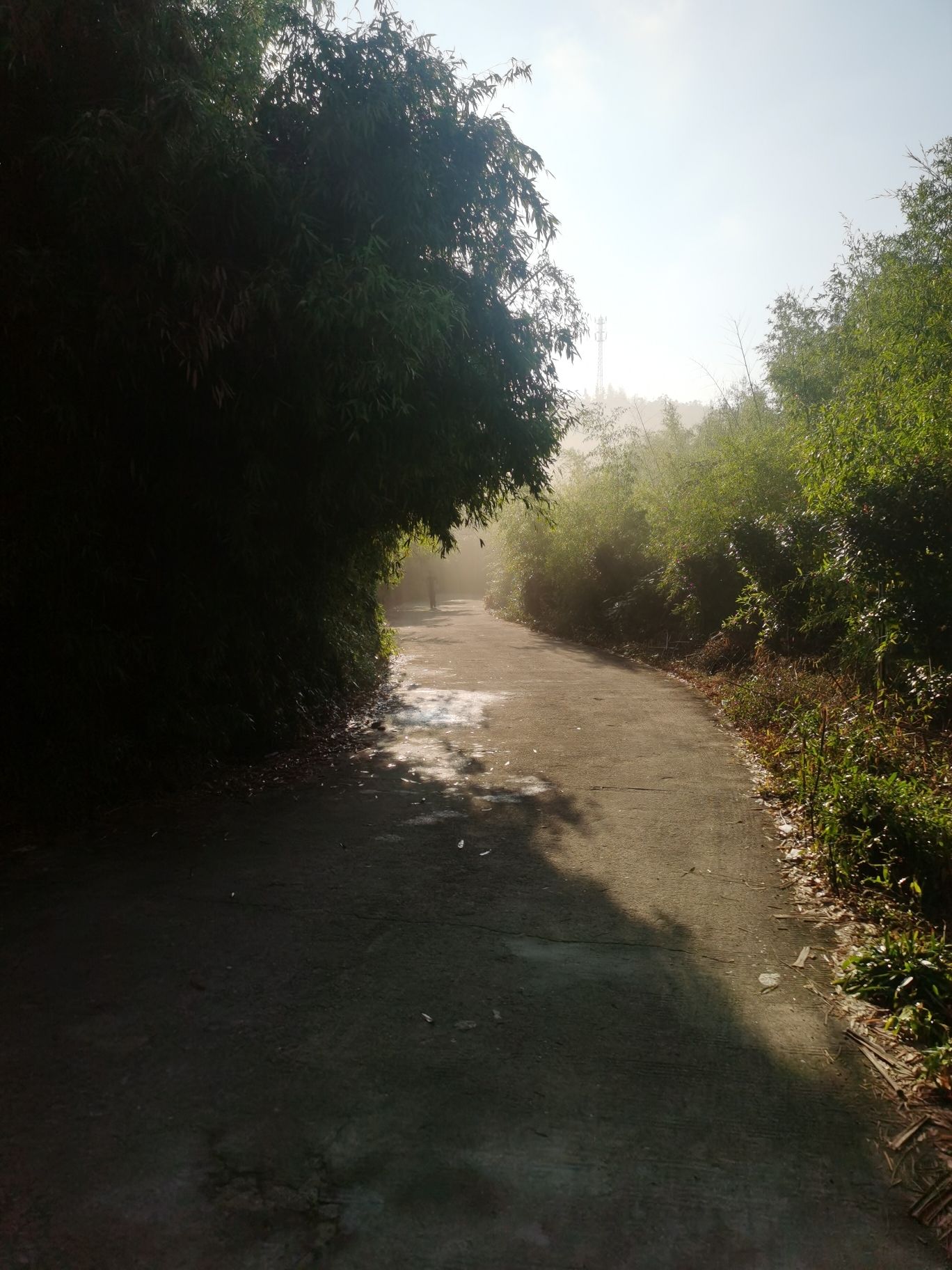 梨树洲风景区