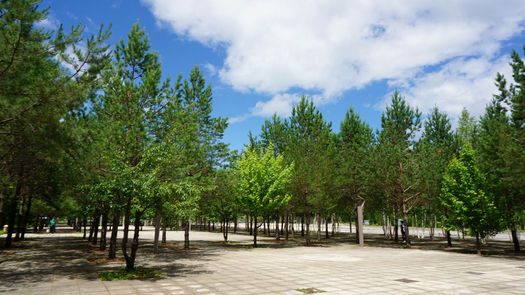 碱水河国家湿地公园
