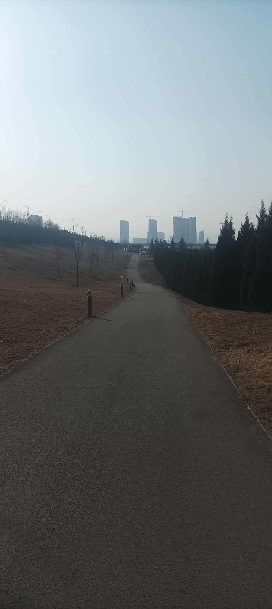 花园水系食品安全主题公园旅行图片