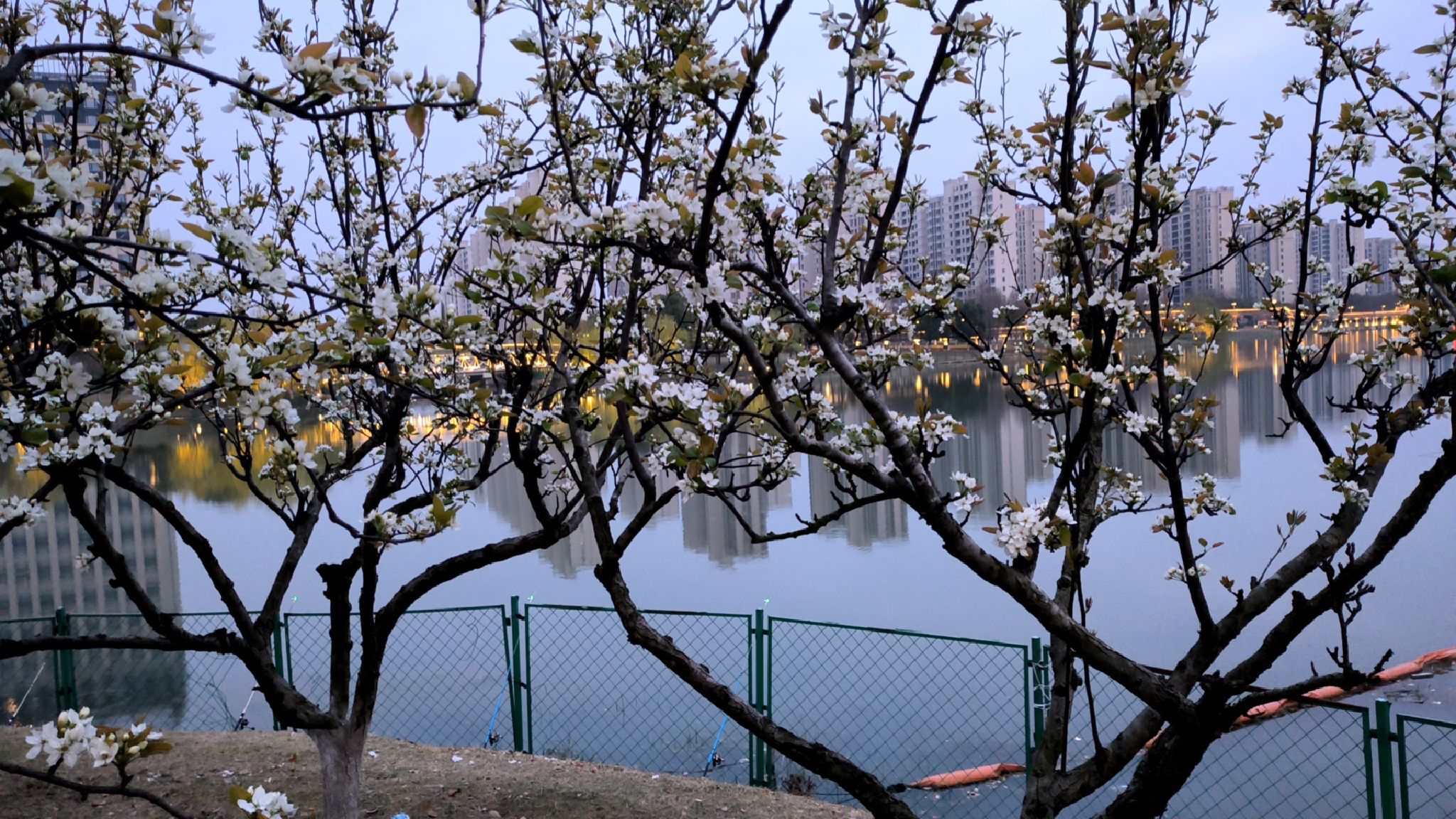 金水湿地公园旅行图片