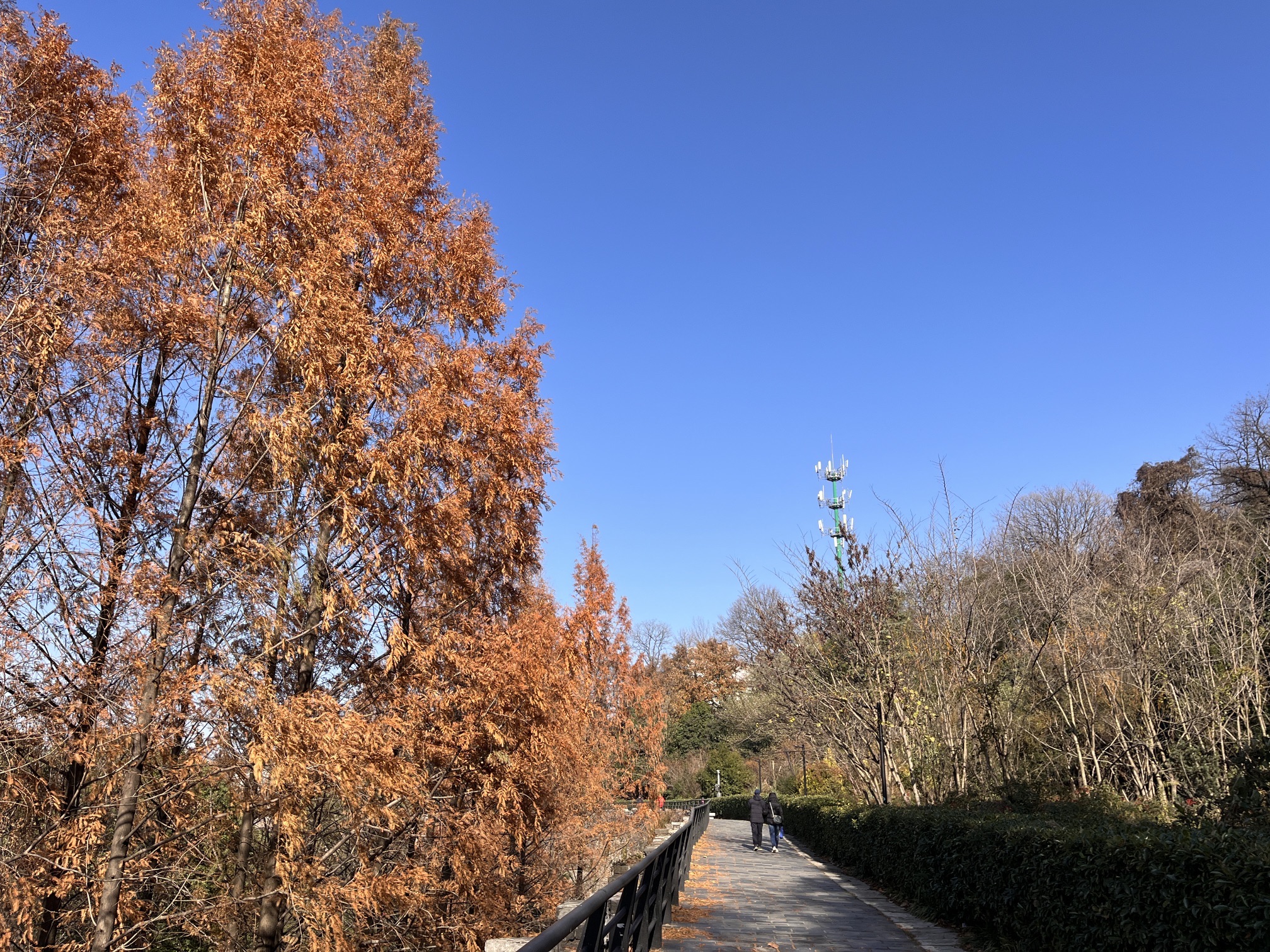 南京城墙挹江门登城口