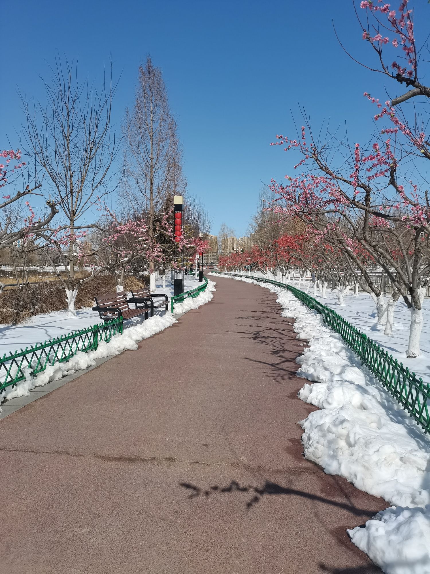 保定东湖公园