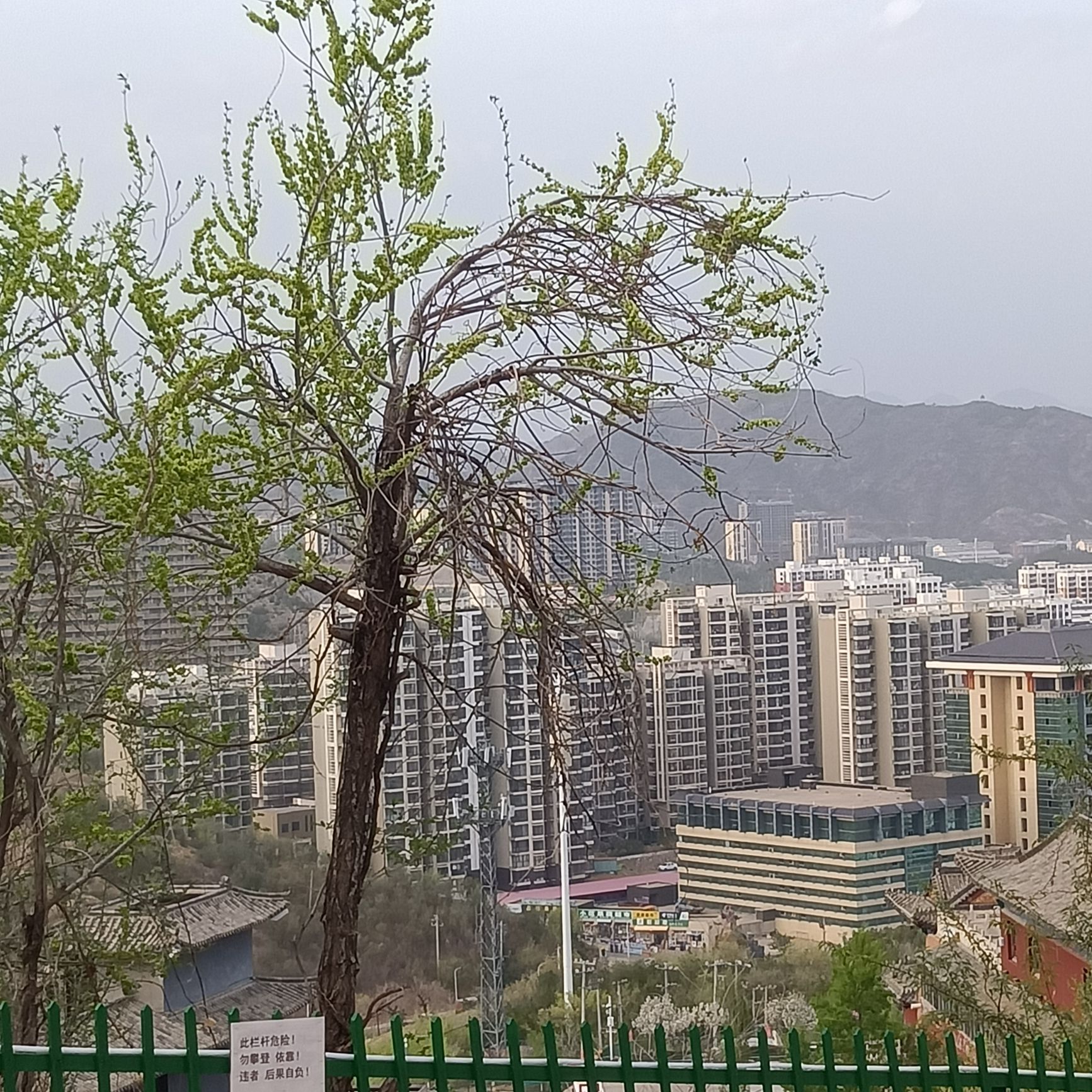 赐儿山