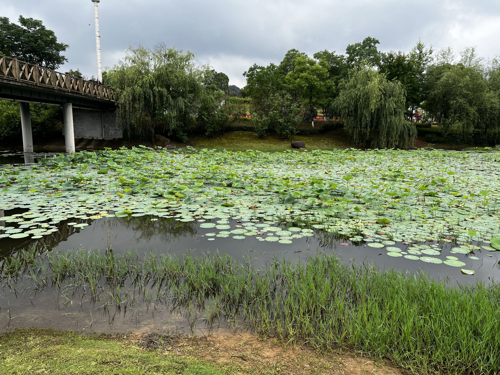 如意湖公园