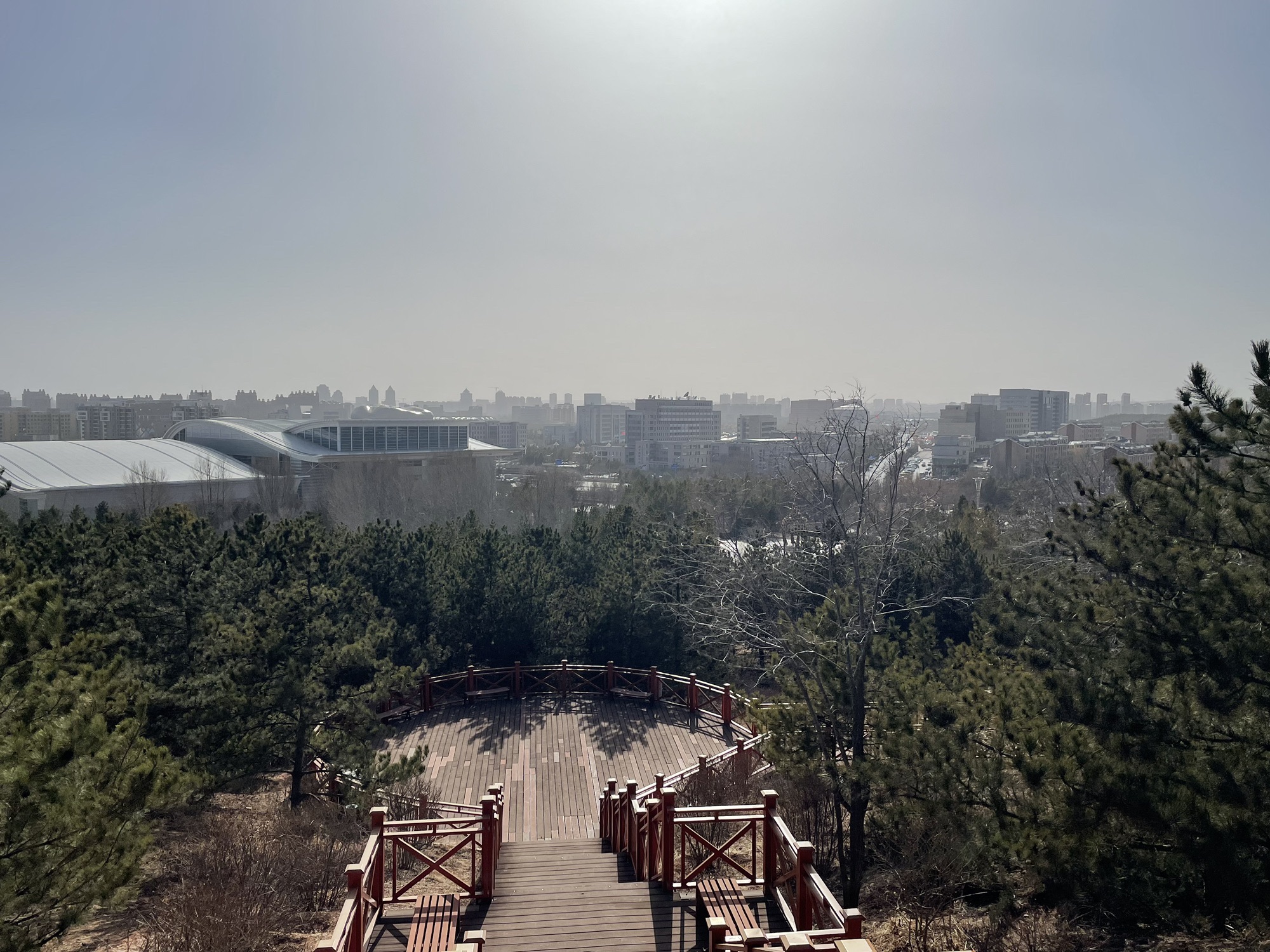 康巴什中心公园旅行图片