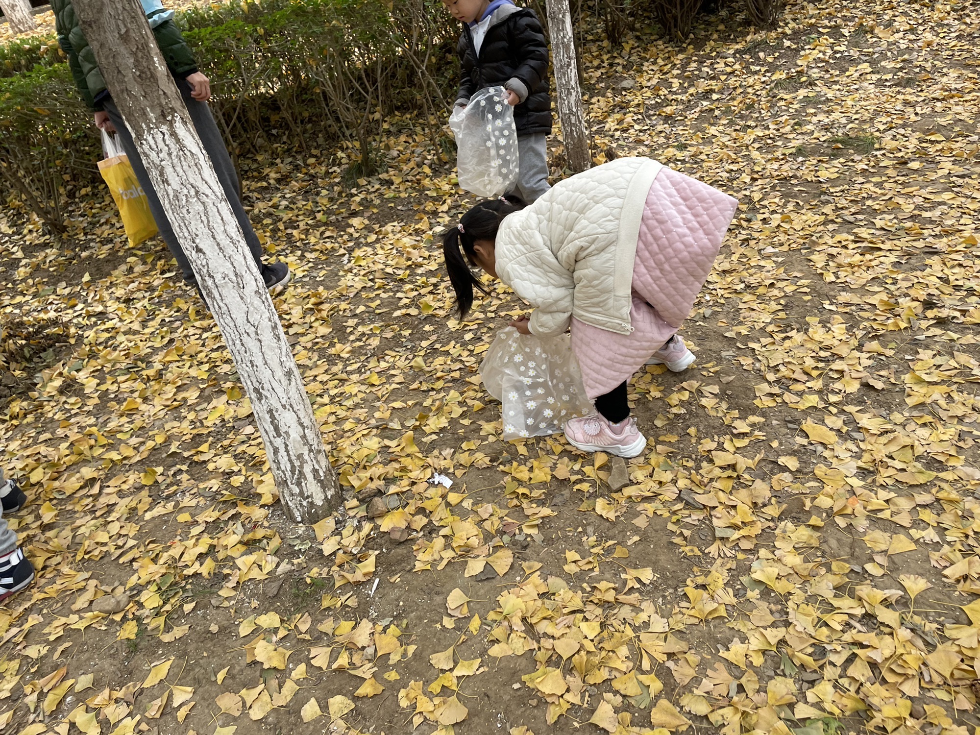 火炬体育公园