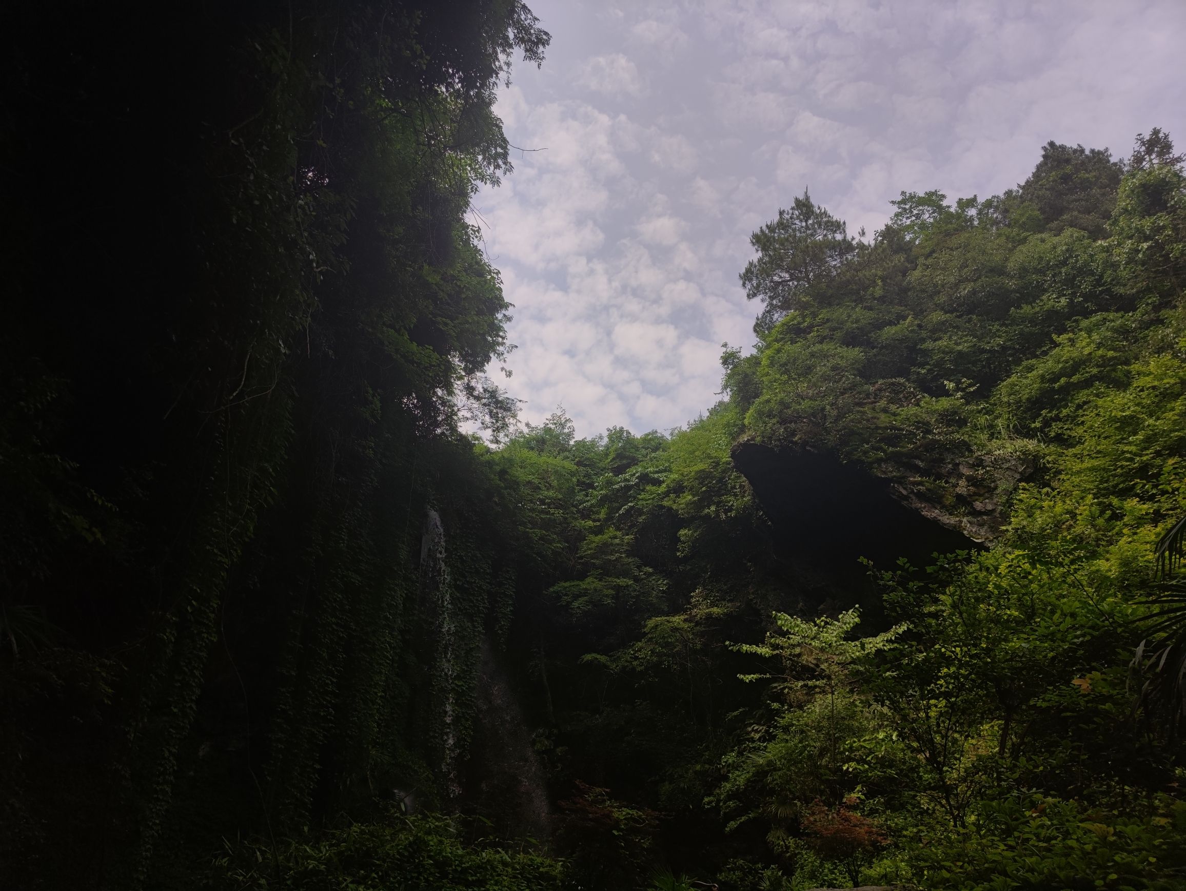 芦花瀑布旅行图片