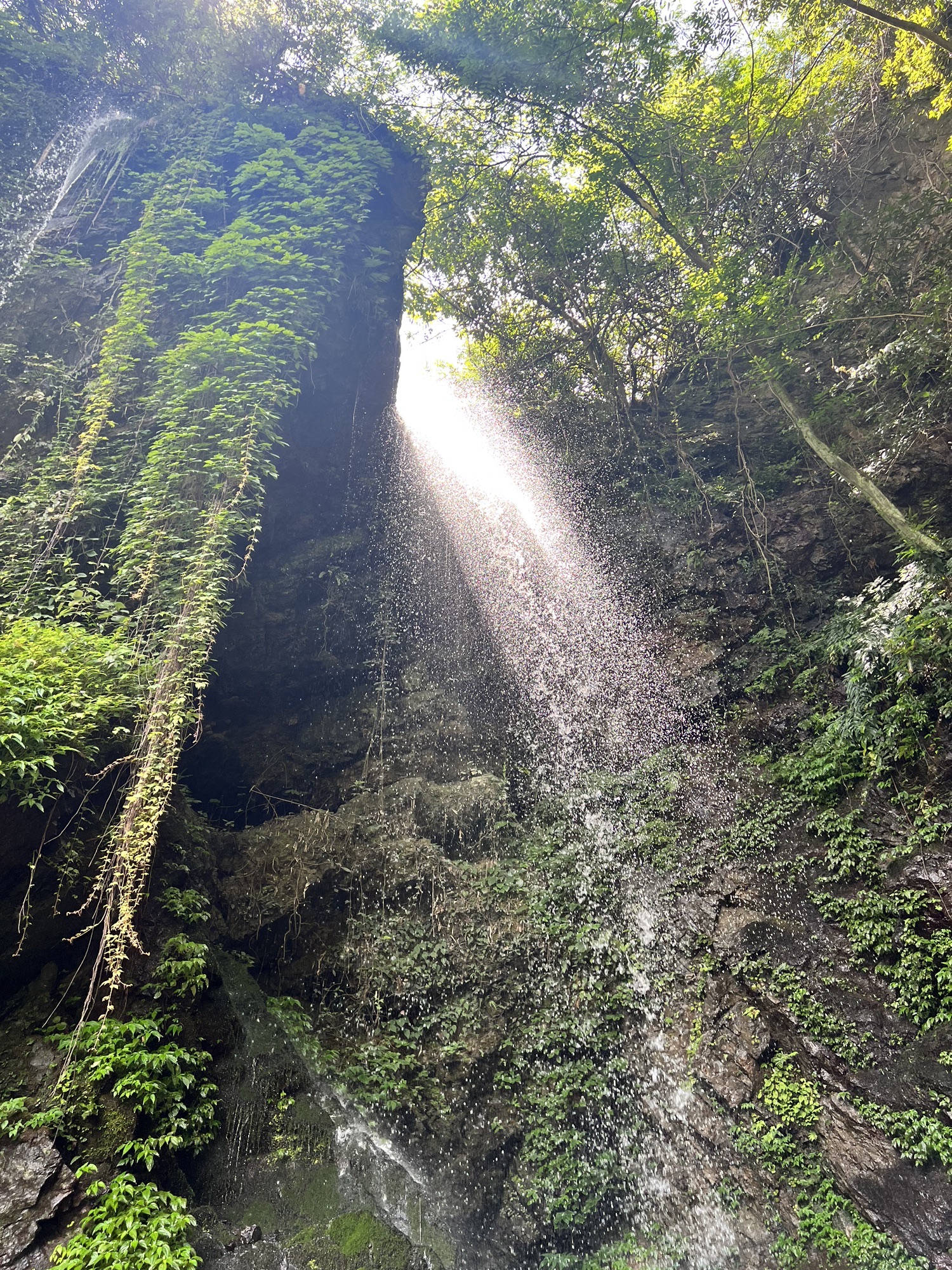 芦花瀑布旅行图片