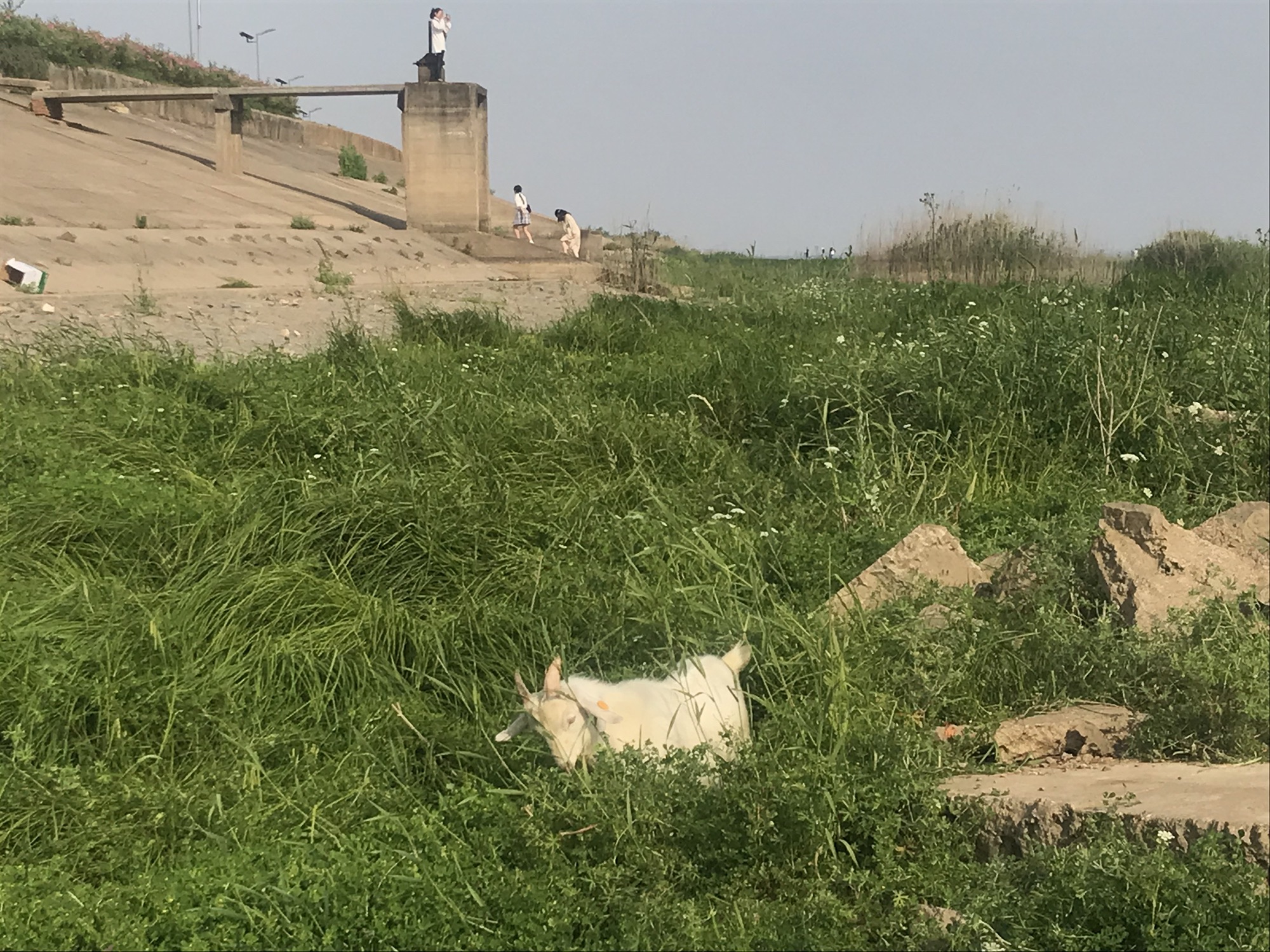 石臼湖旅行图片
