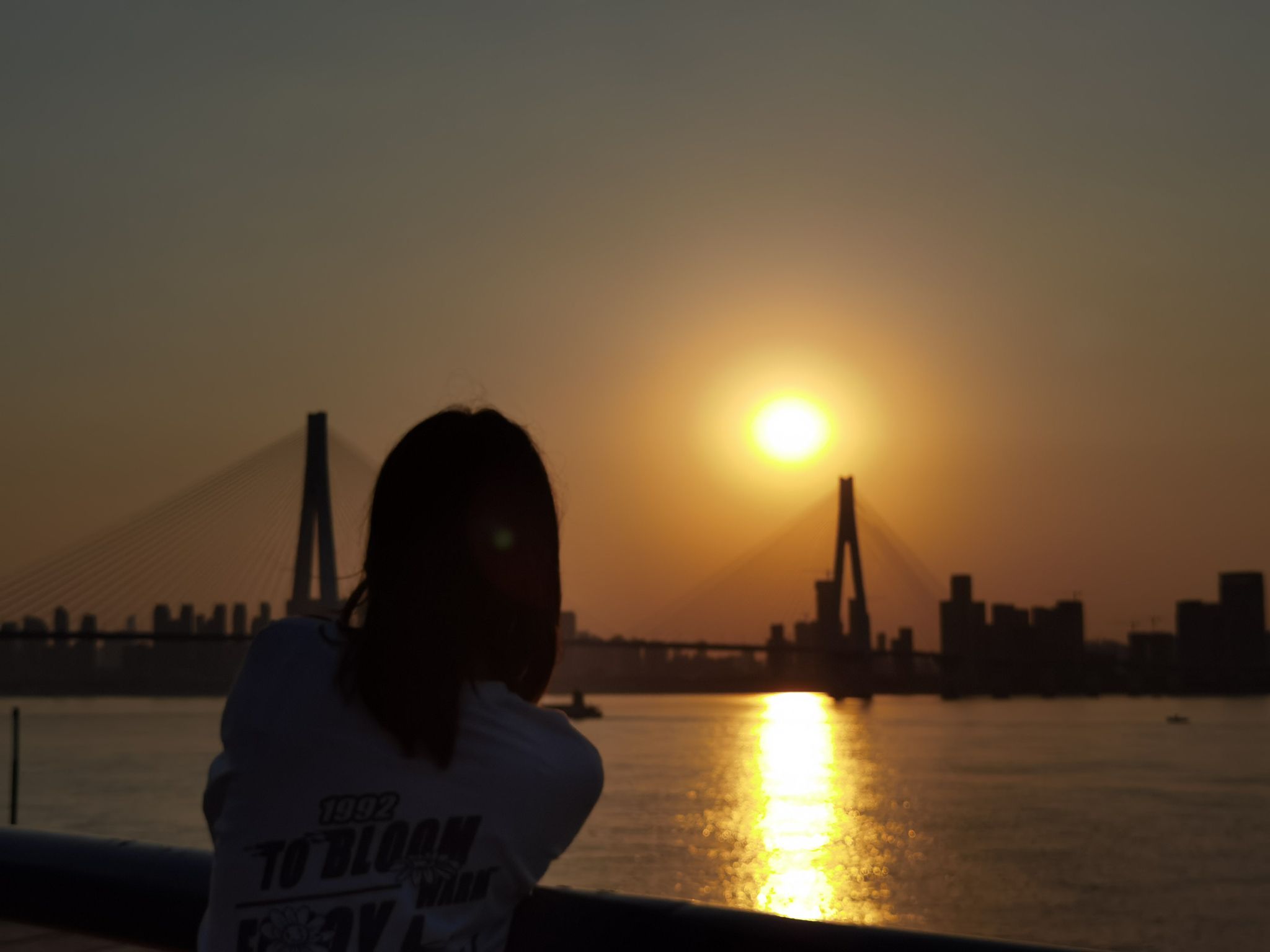青山江滩公园1期旅行图片