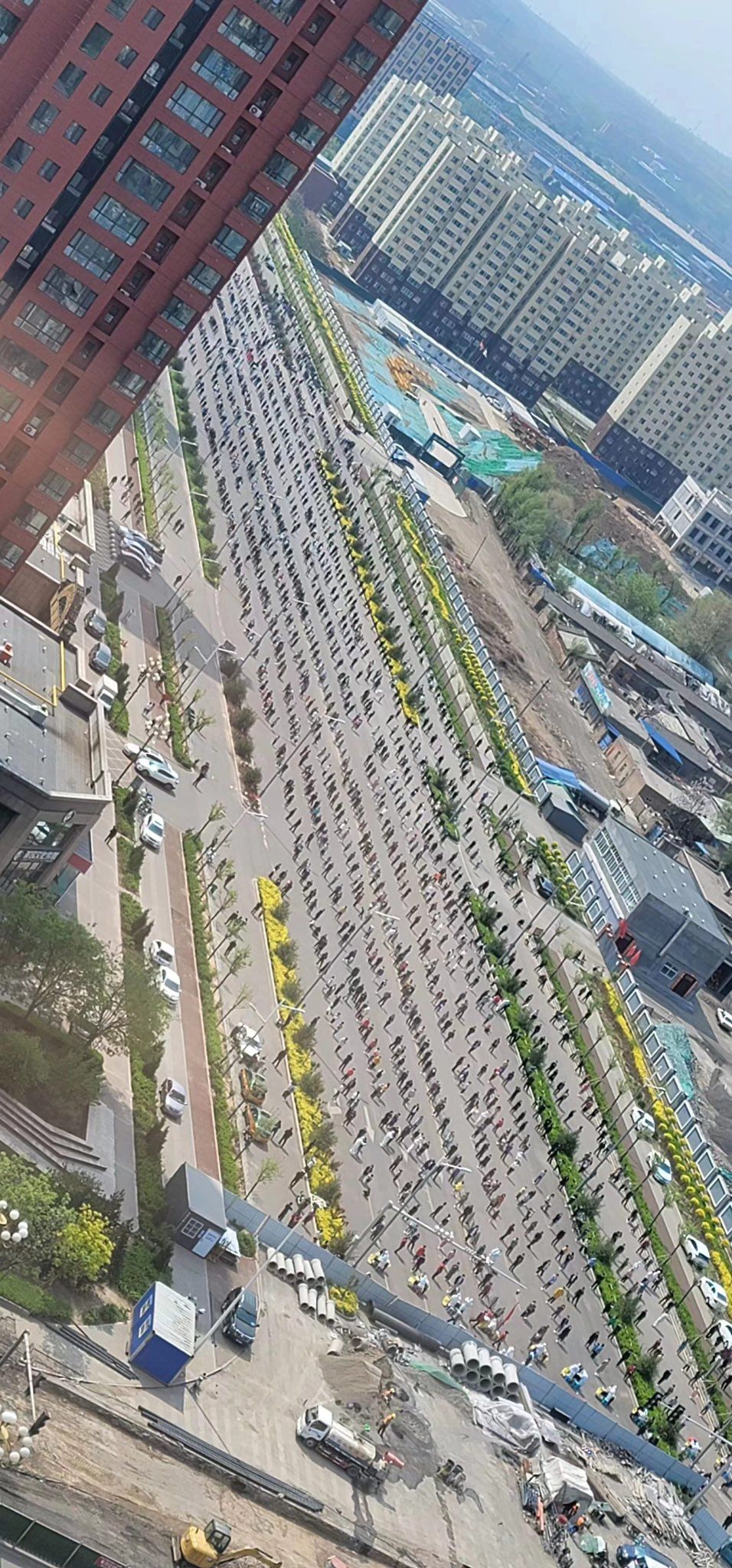 亳州市文化公园旅行图片