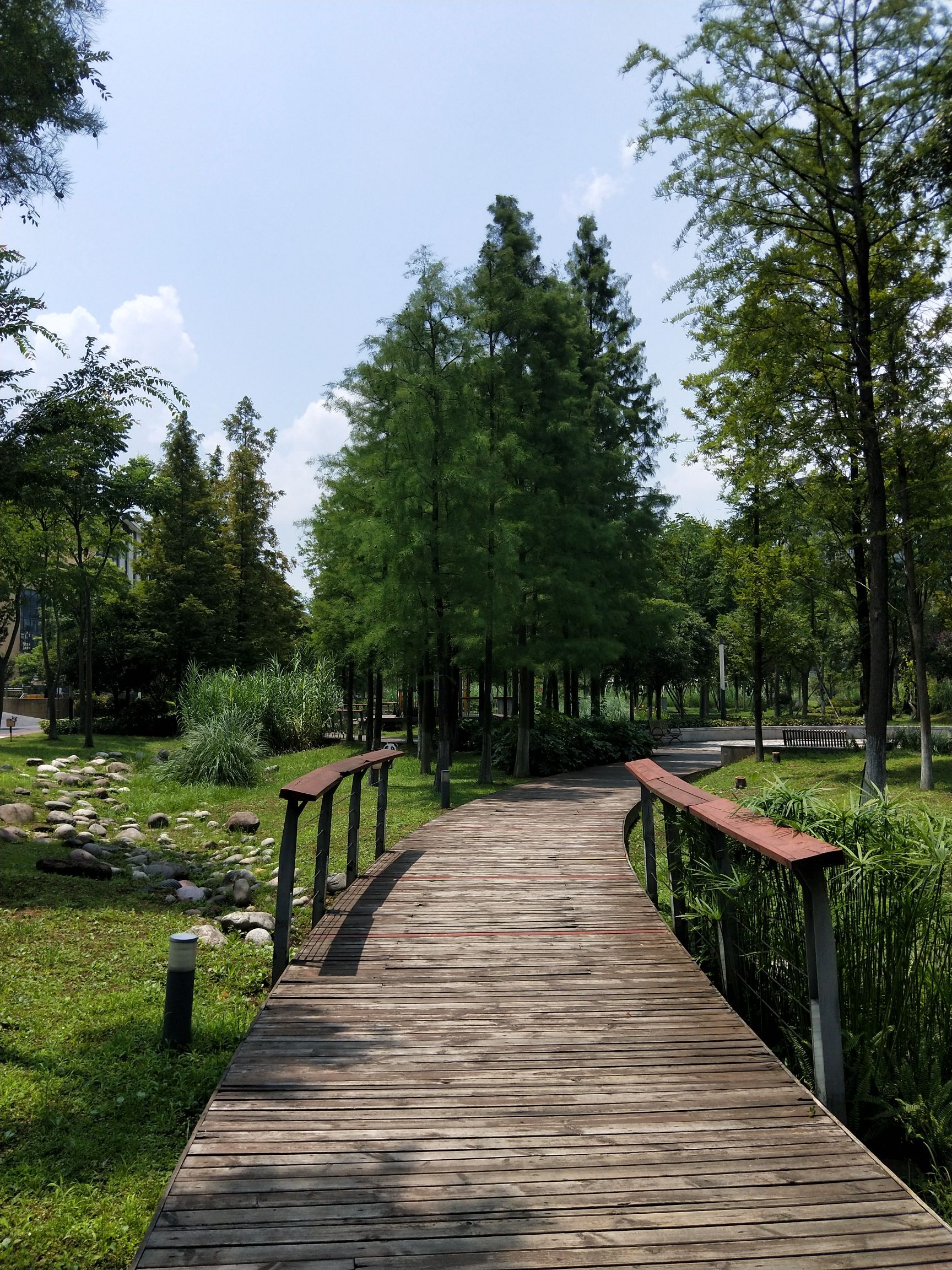 熊猫绿岛公园旅行图片