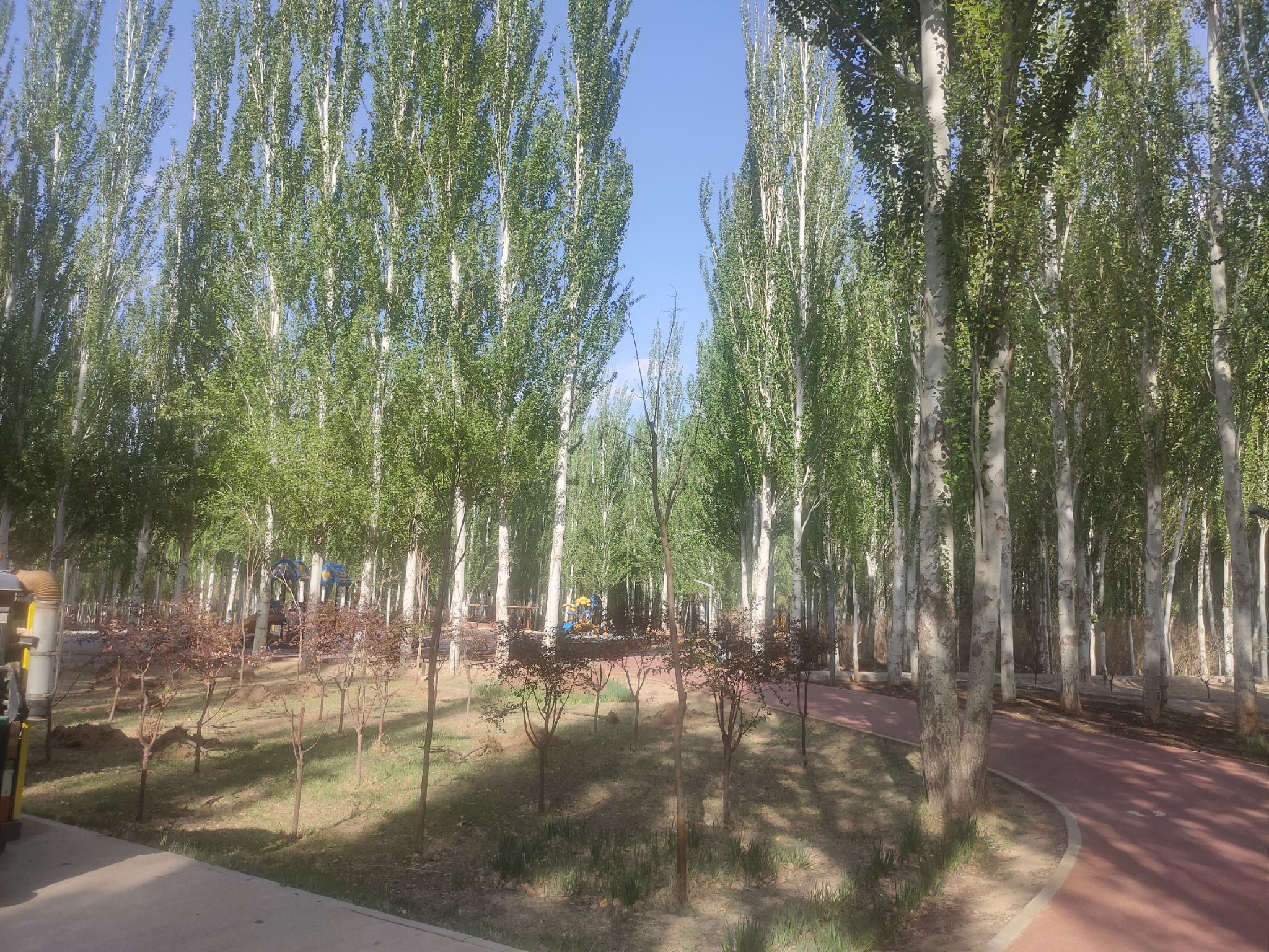 临河区植物园旅行图片
