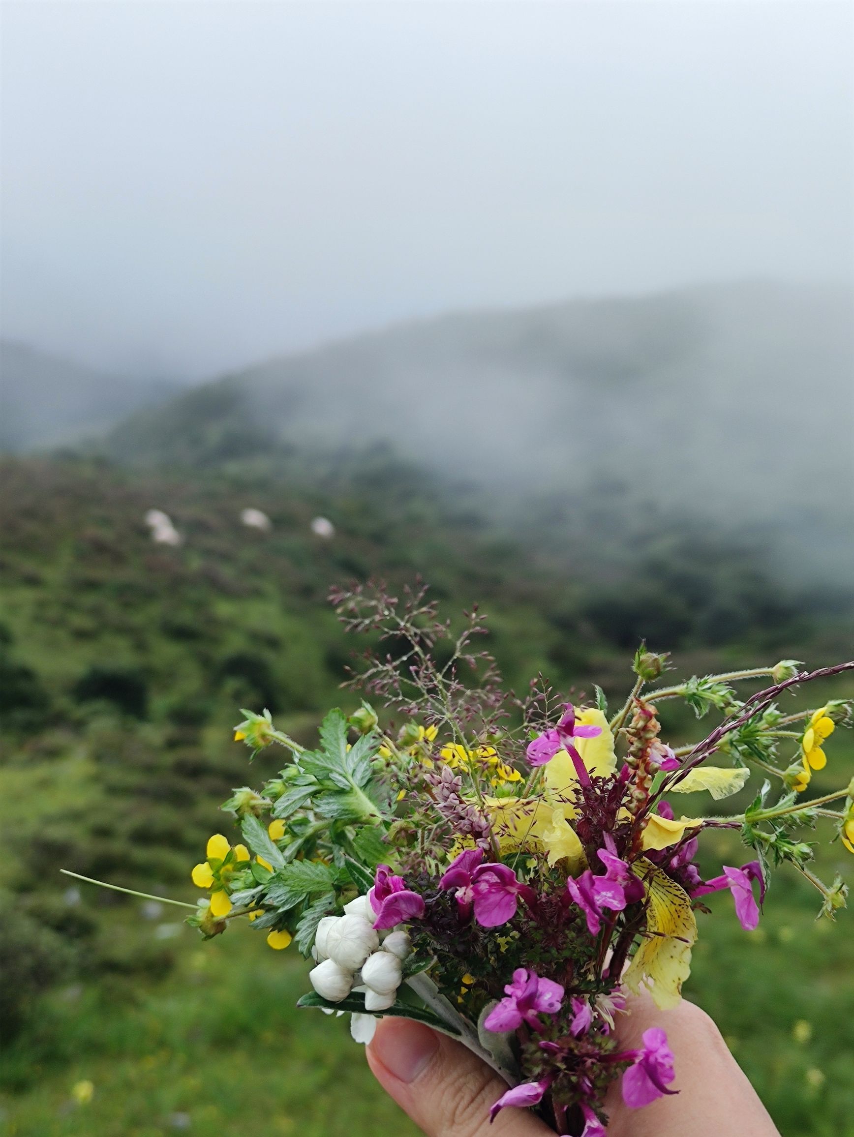 昭觉县谷克德(七里坝)景区(暂停开放)