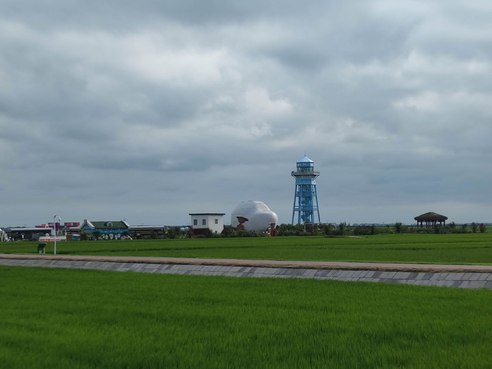万亩水稻公园