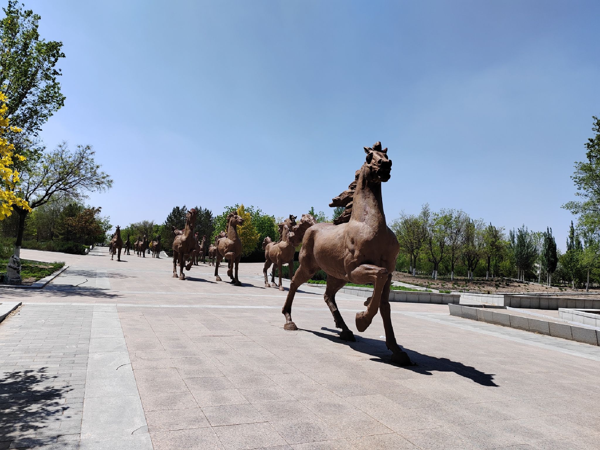 鹰骏广场旅行图片