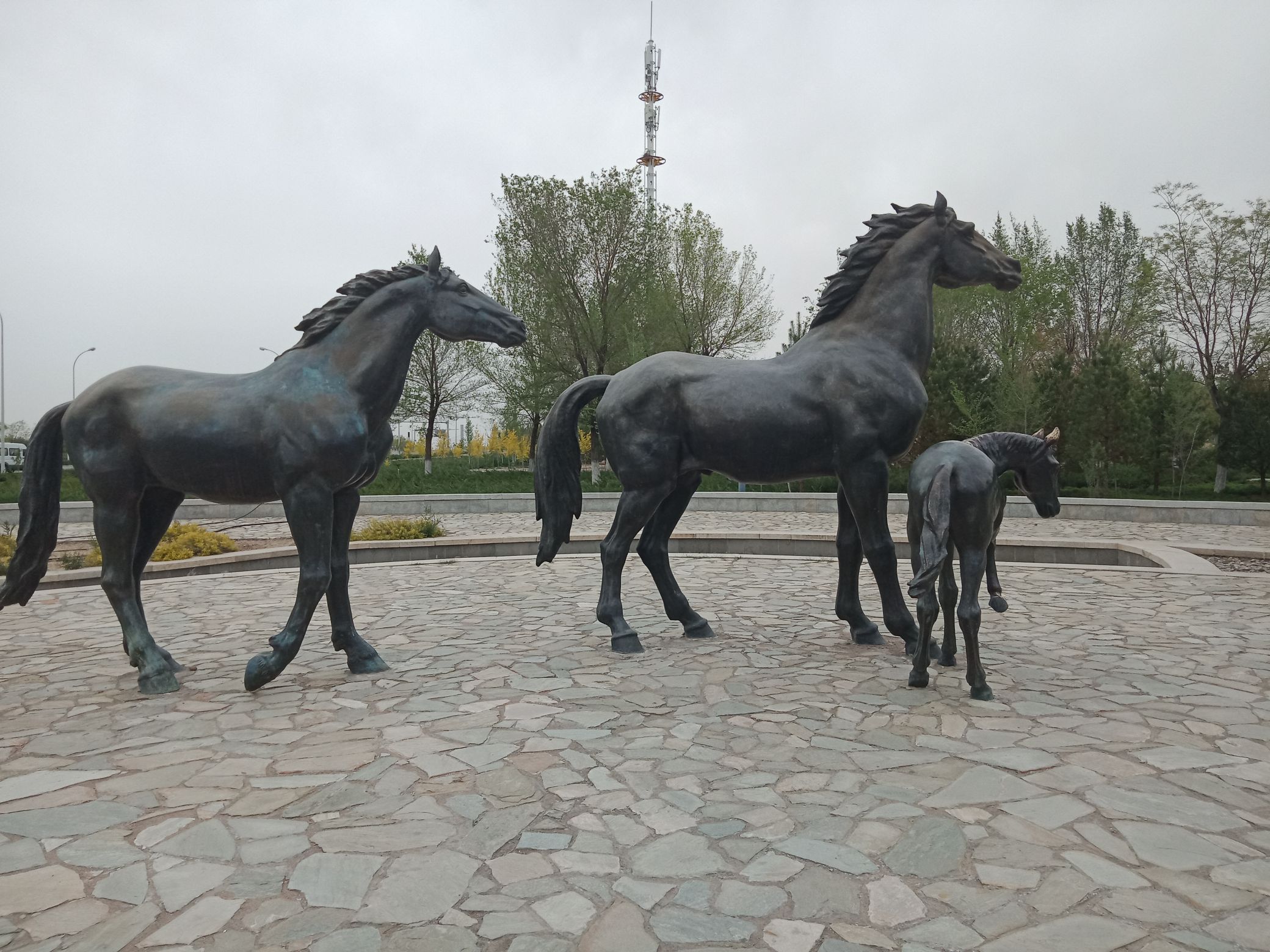 鹰骏广场旅行图片