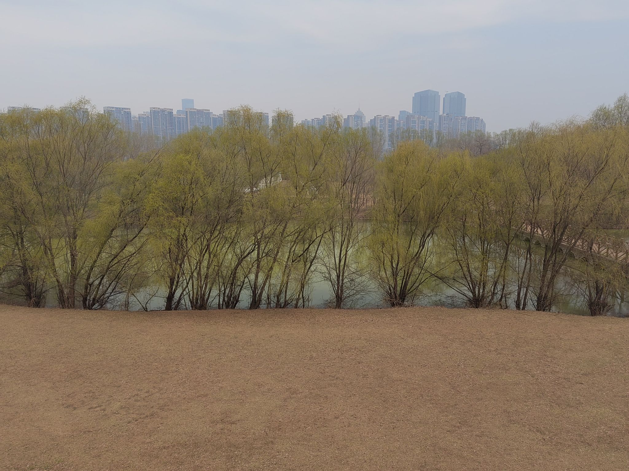 沈阳郎朗钢琴广场旅行图片