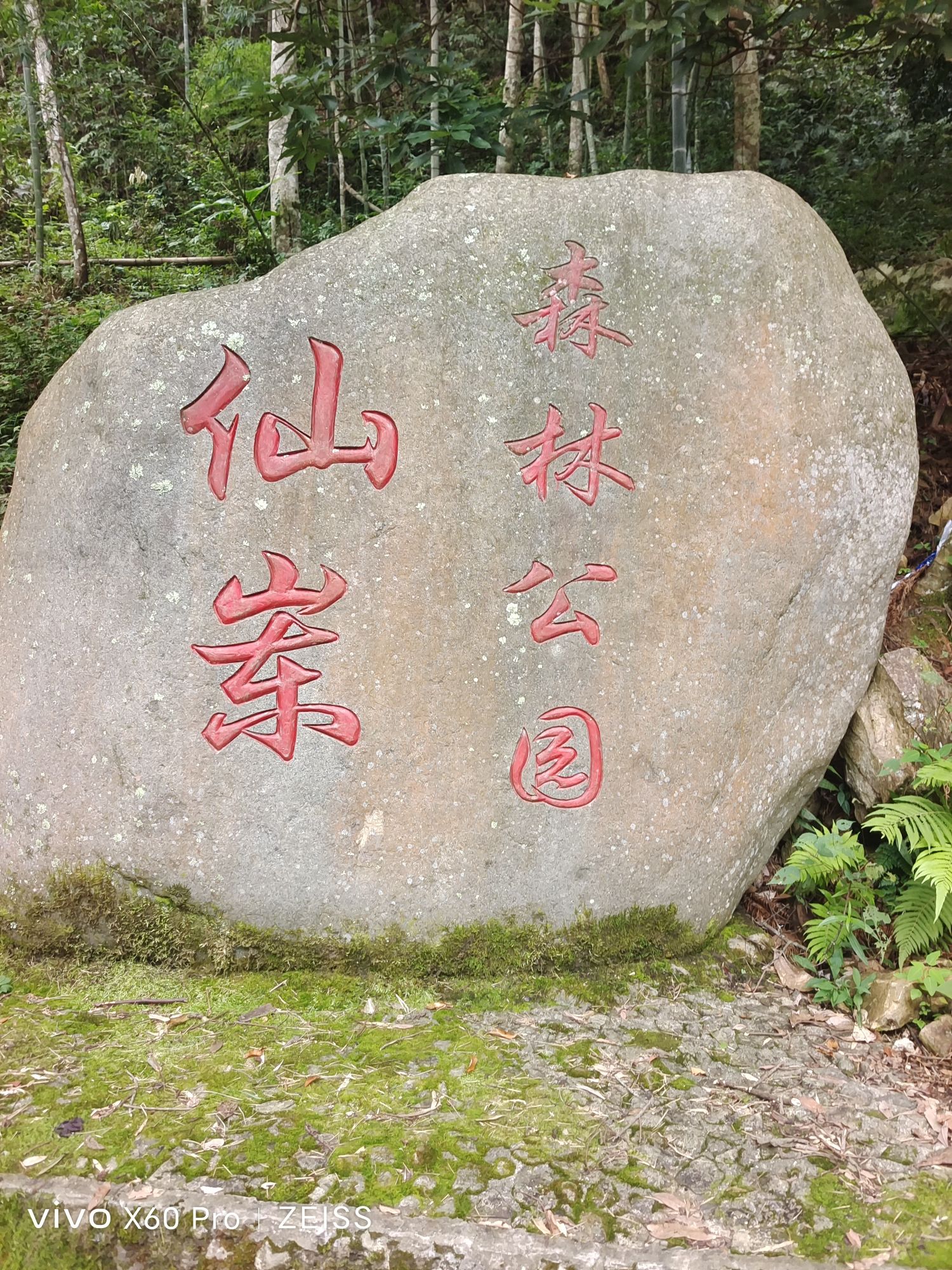 福建省永定仙岽省级森林公园旅行图片