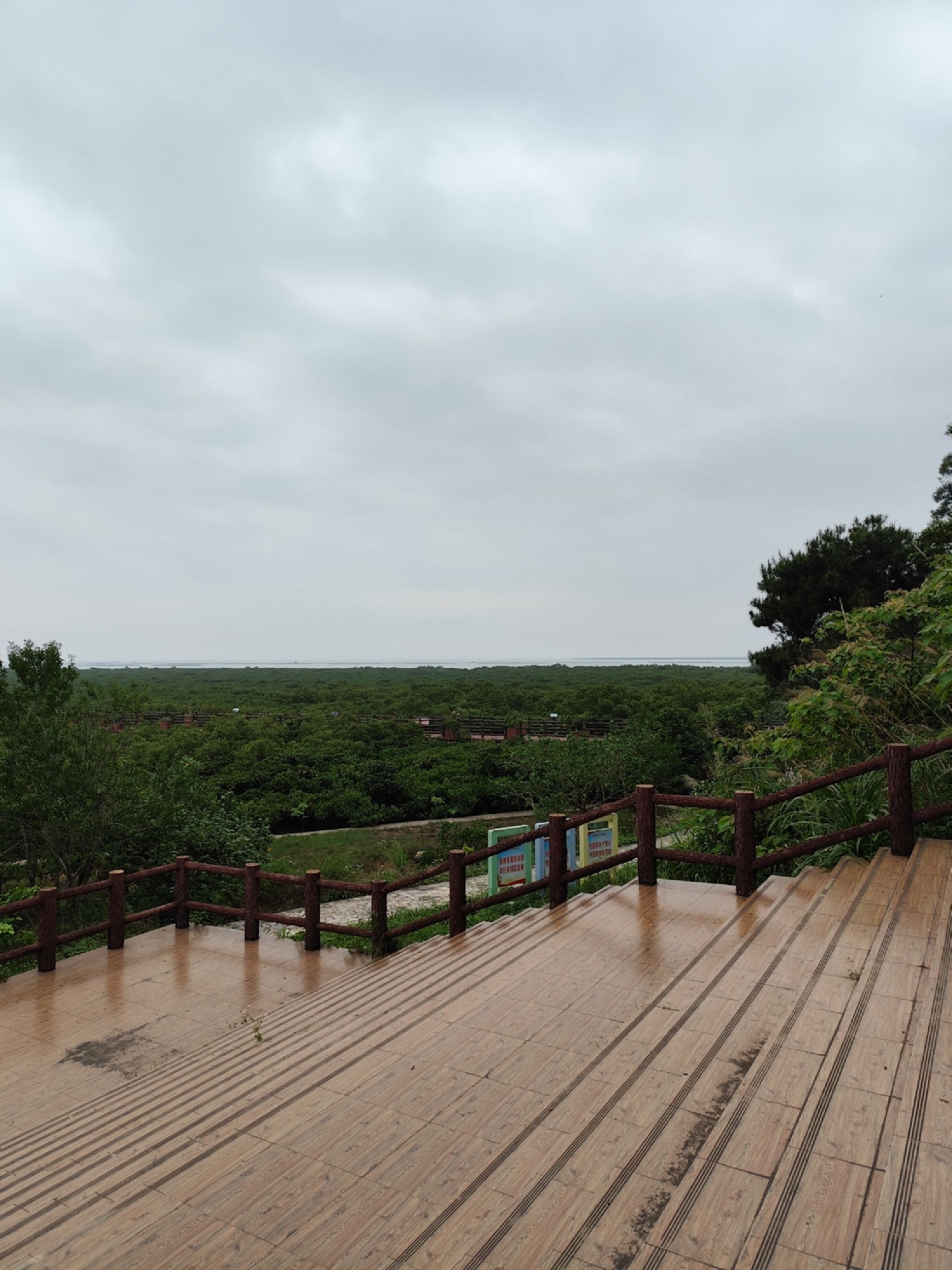 防城港市江山乡石角村珍珠湾红树林保护区