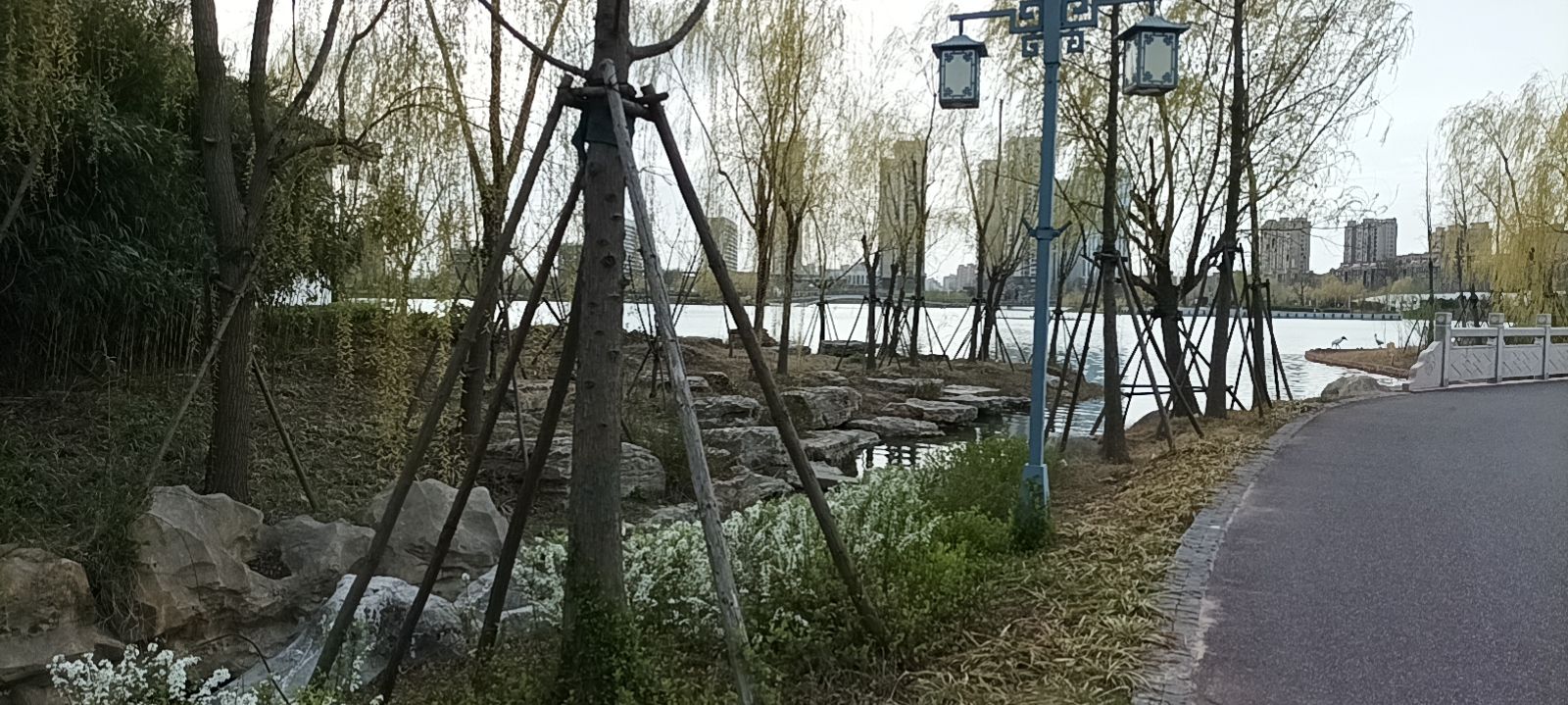 千鹤湖公园
