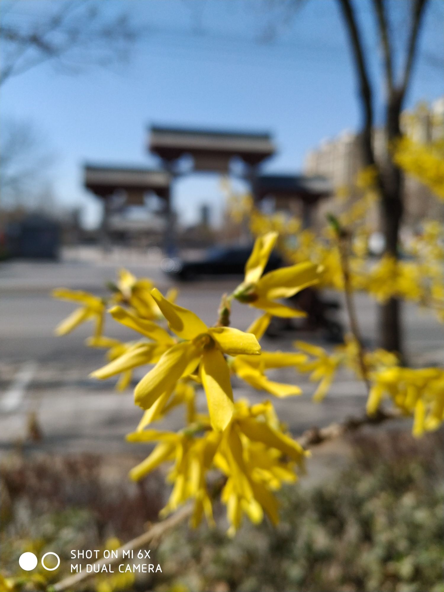 孔颖达文化公园旅行图片