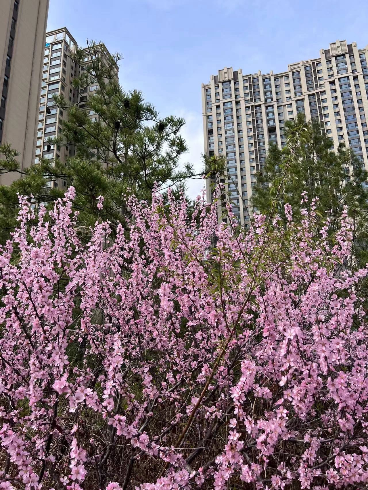 小东流公园