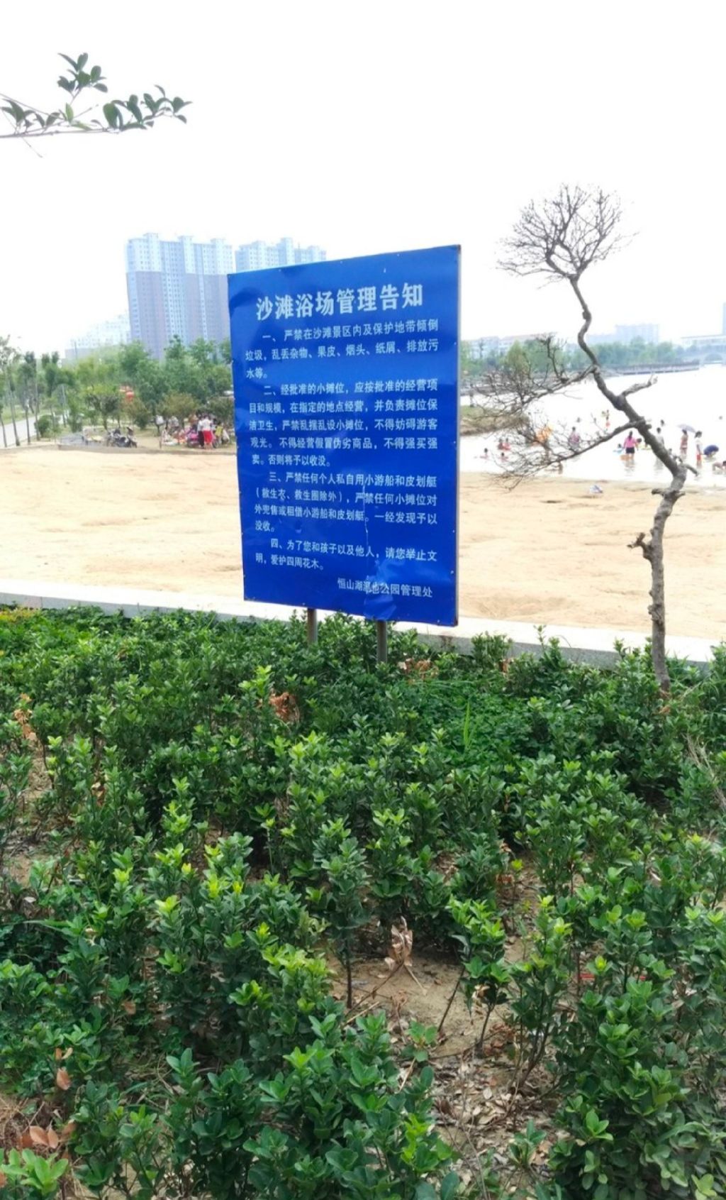 睢县恒山湖湿地公园旅行图片