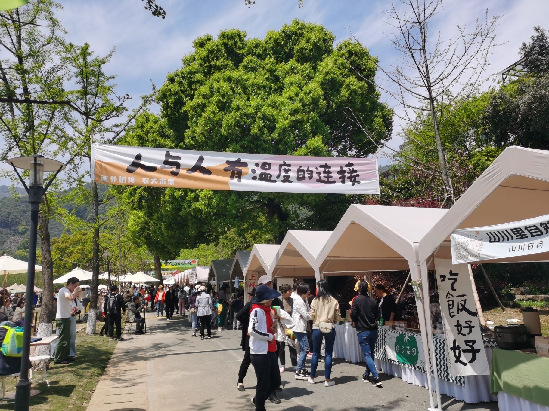 画外桐坞