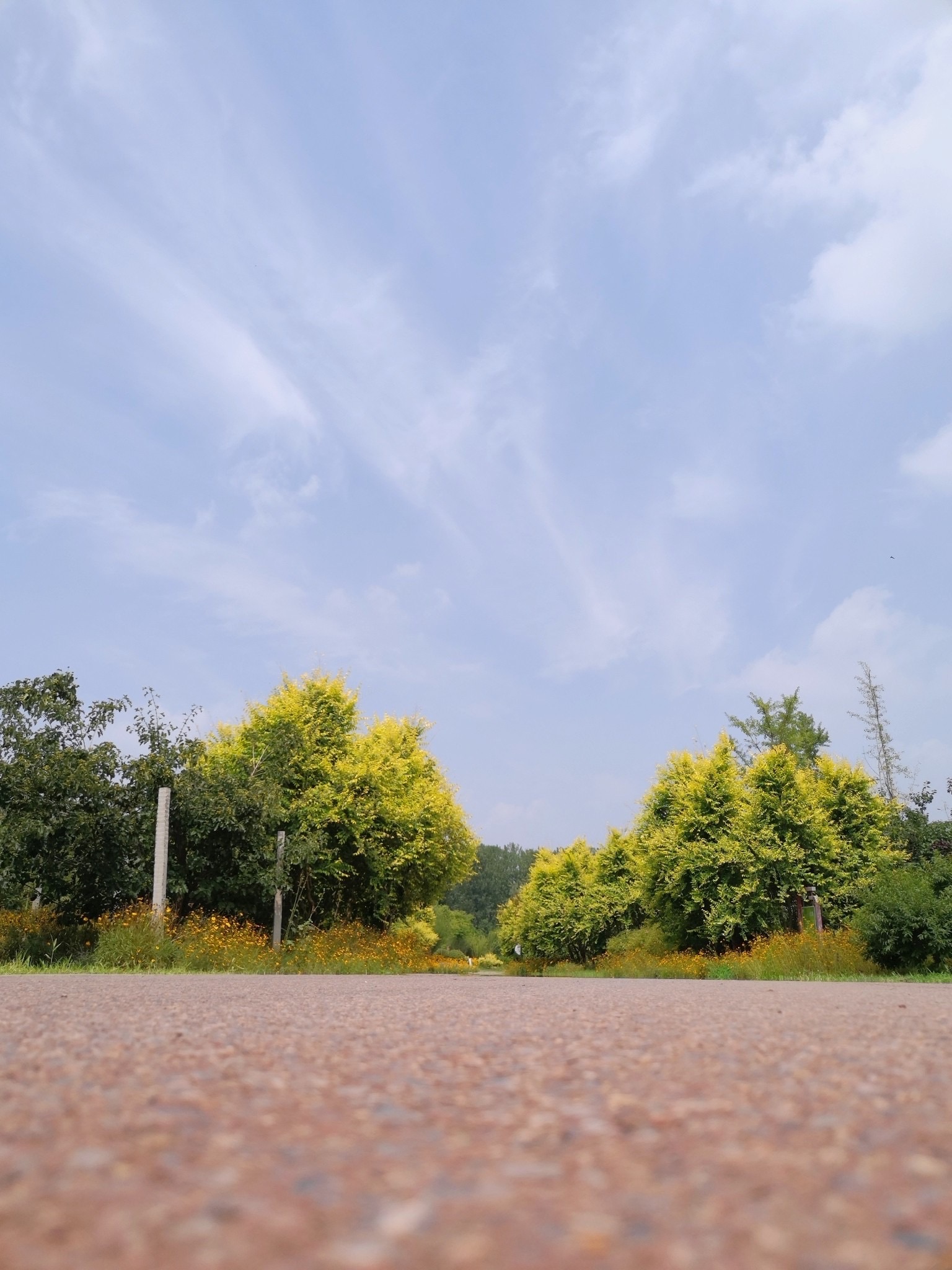 濮水湿地公园