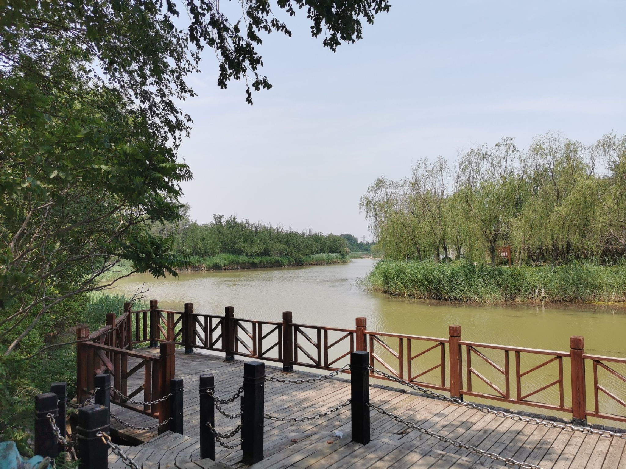 塘沽森林公园旅行图片