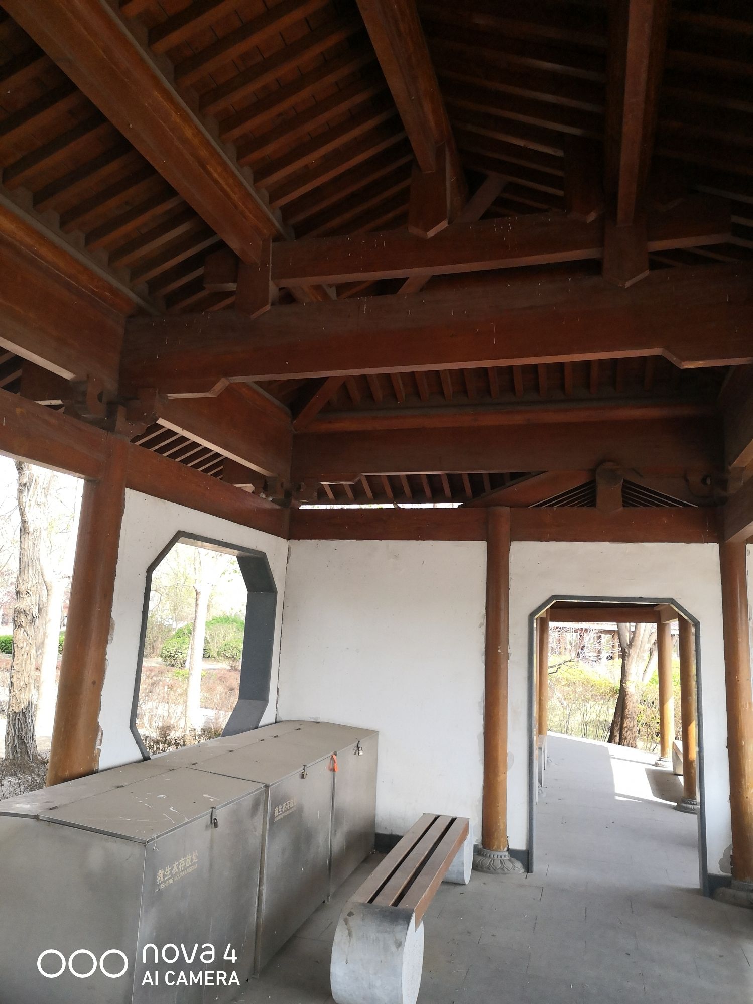 塘沽森林公园旅行图片