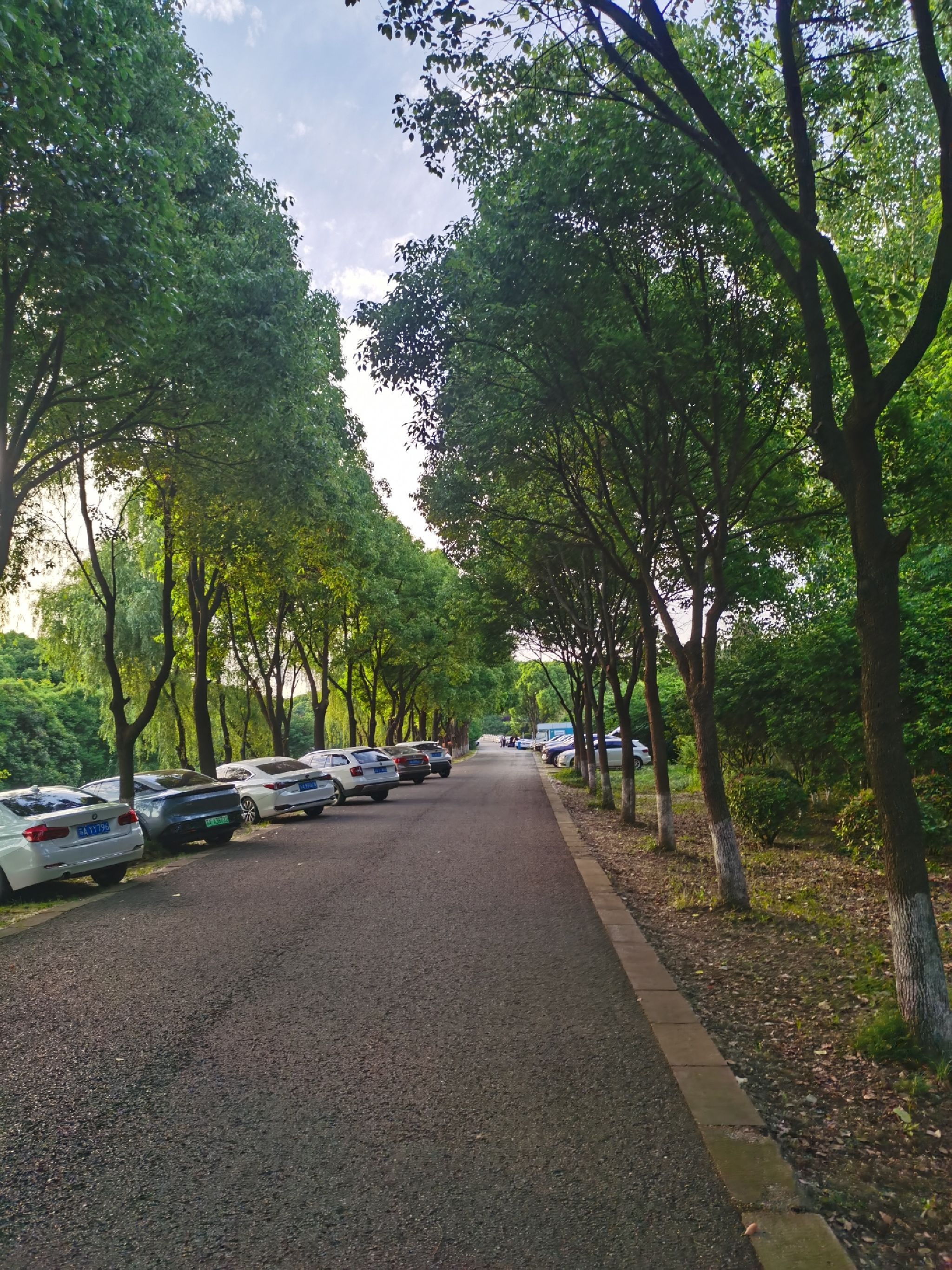 三桥湿地公园旅行图片
