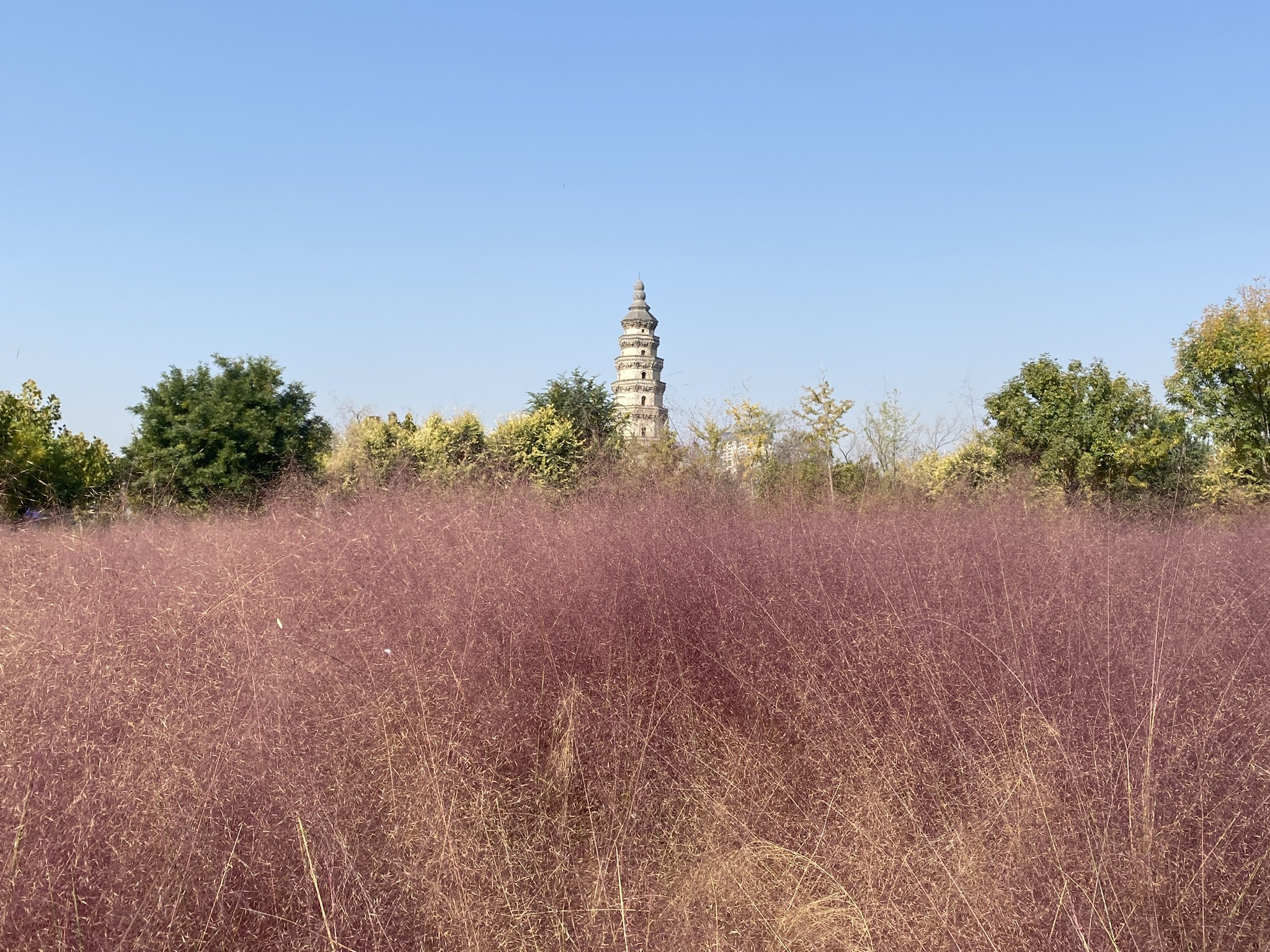 宝云公园