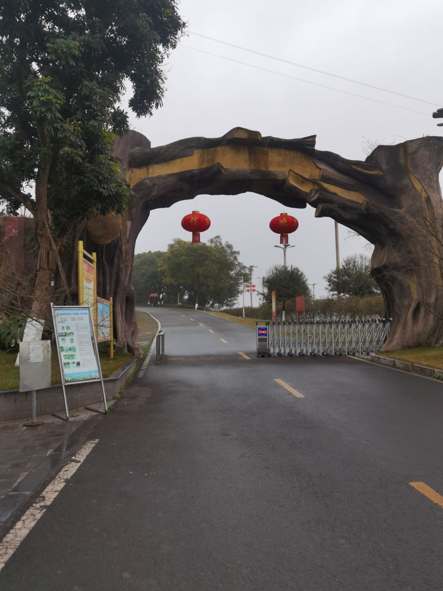 泸州市植物园旅行图片