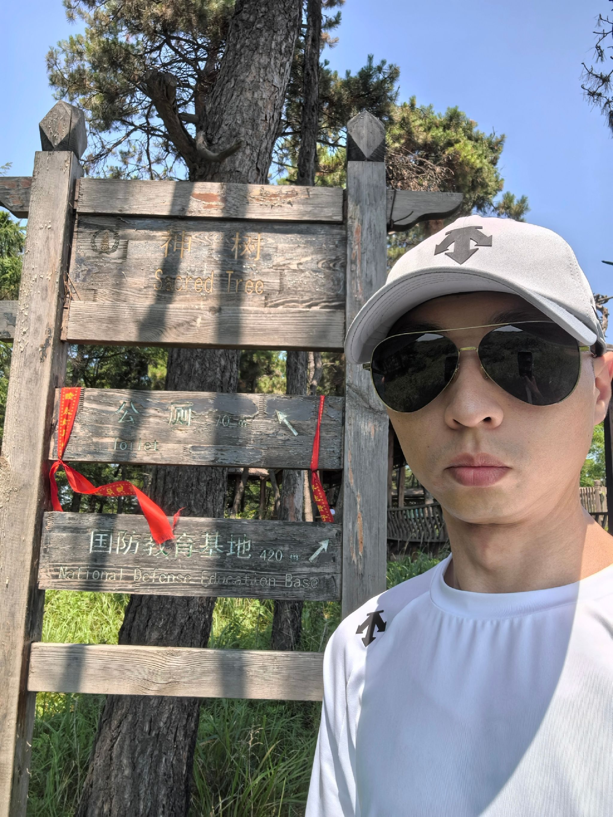 高尔山景区神树旅行图片