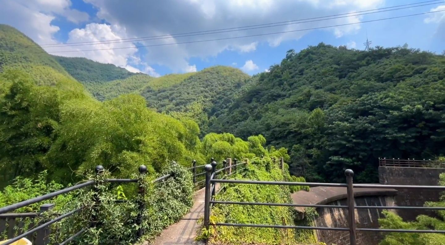 知青坝