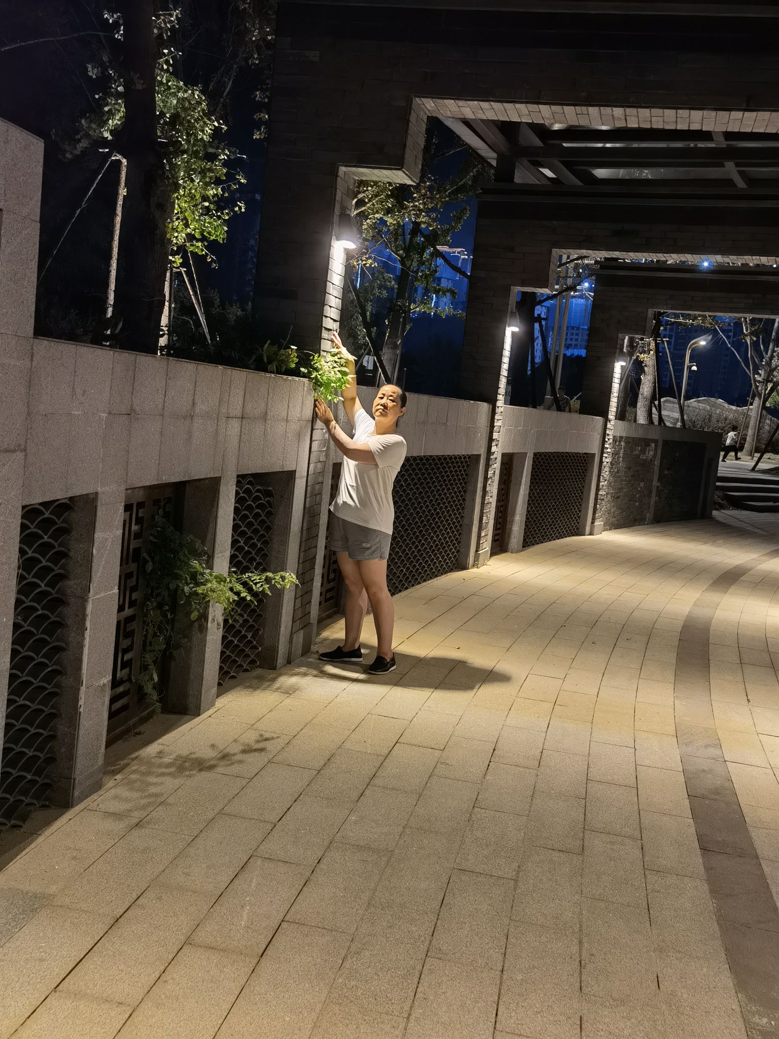 东风湖生态公园旅行图片