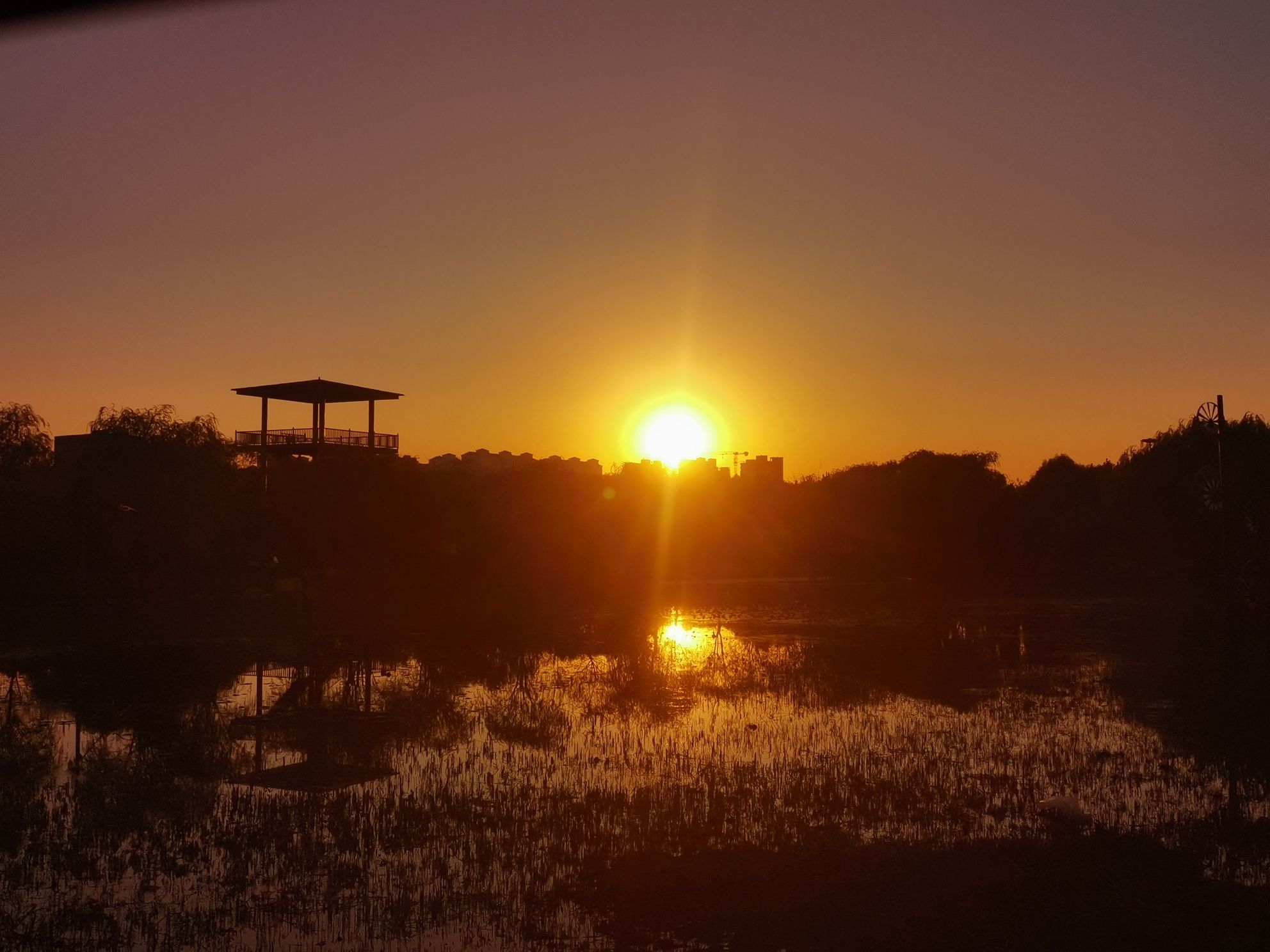 蠡州湿地公园旅行图片