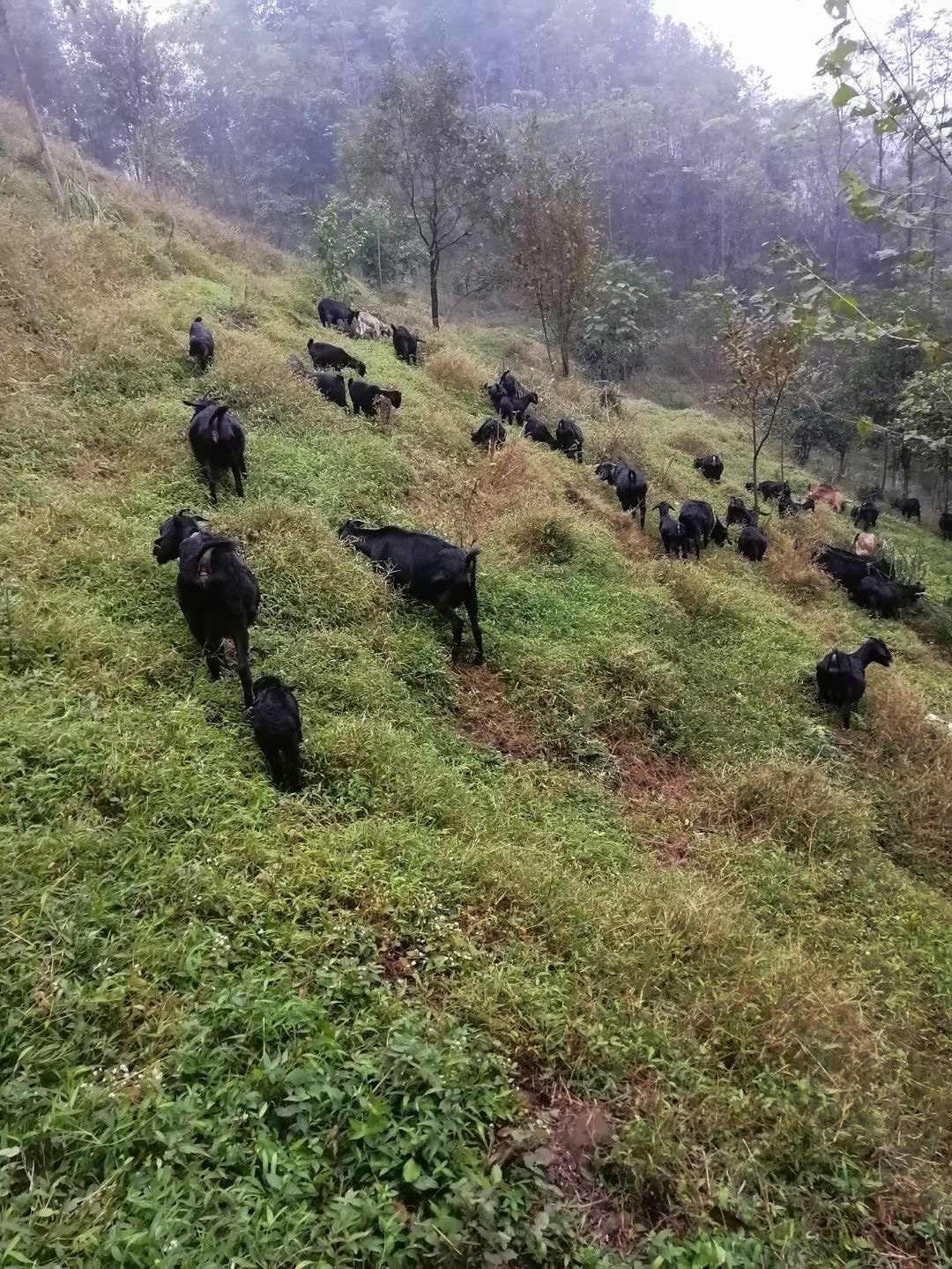 相约小桂林旅行图片