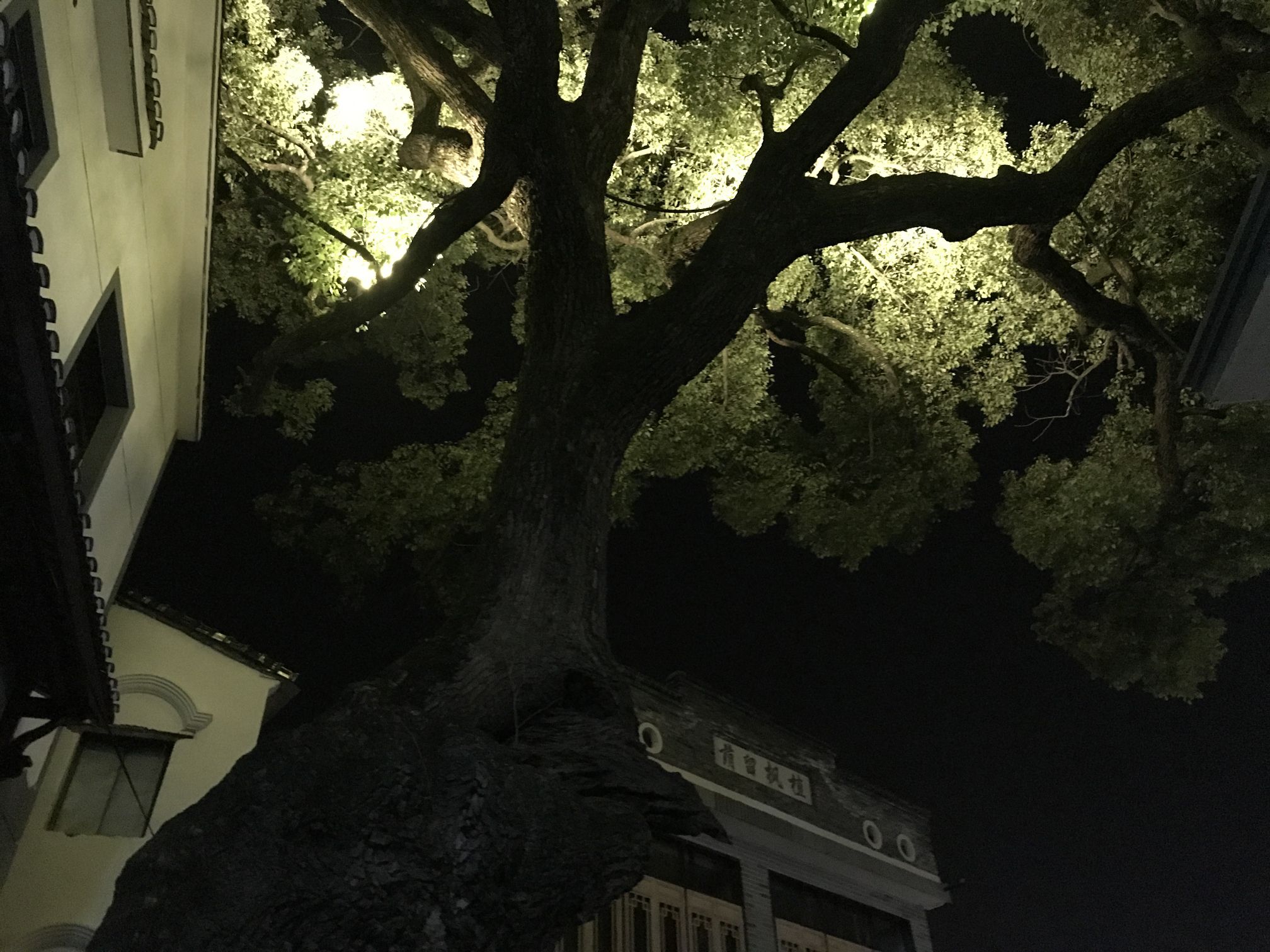 南屏旅游景区