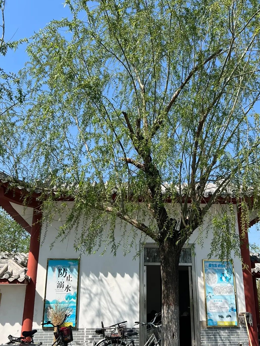 阳谷南湖