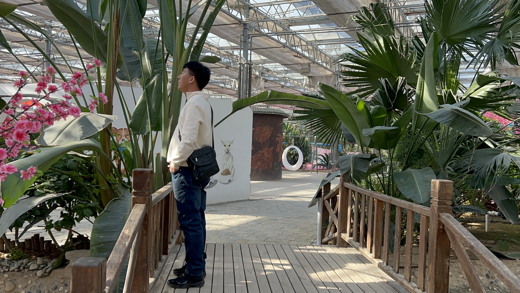 南和农业嘉年华