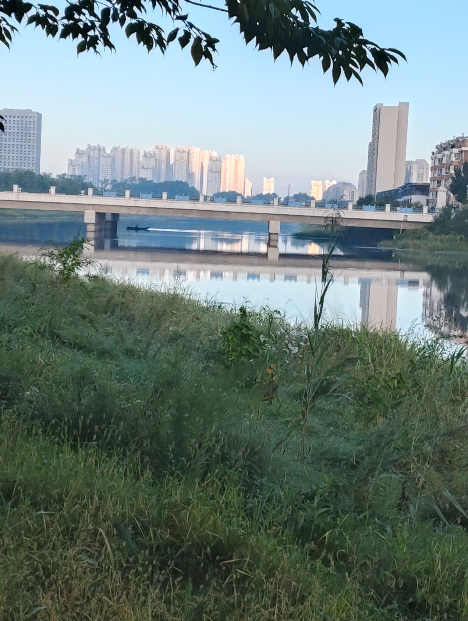 新区中心公园